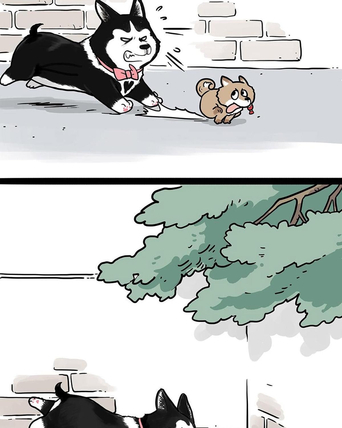 Hoàng Thượng Và Ba Trát Hắc Chapter 438 - Trang 2