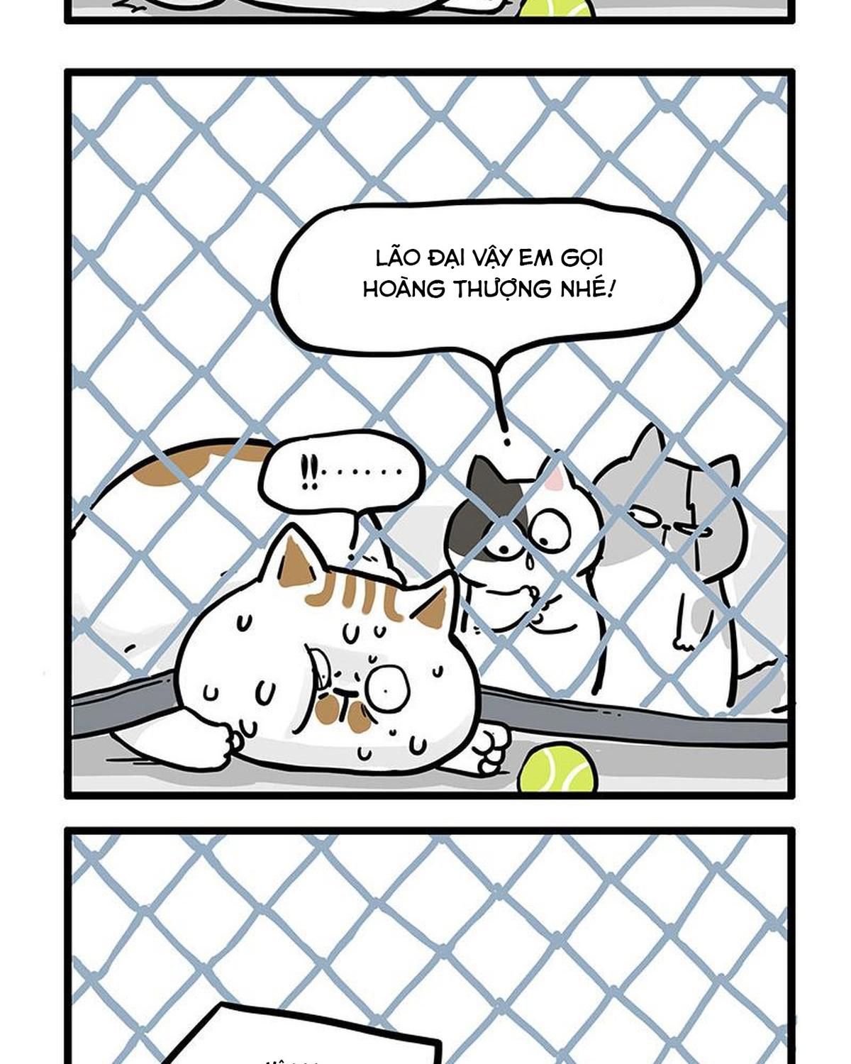 Hoàng Thượng Và Ba Trát Hắc Chapter 439 - Trang 2