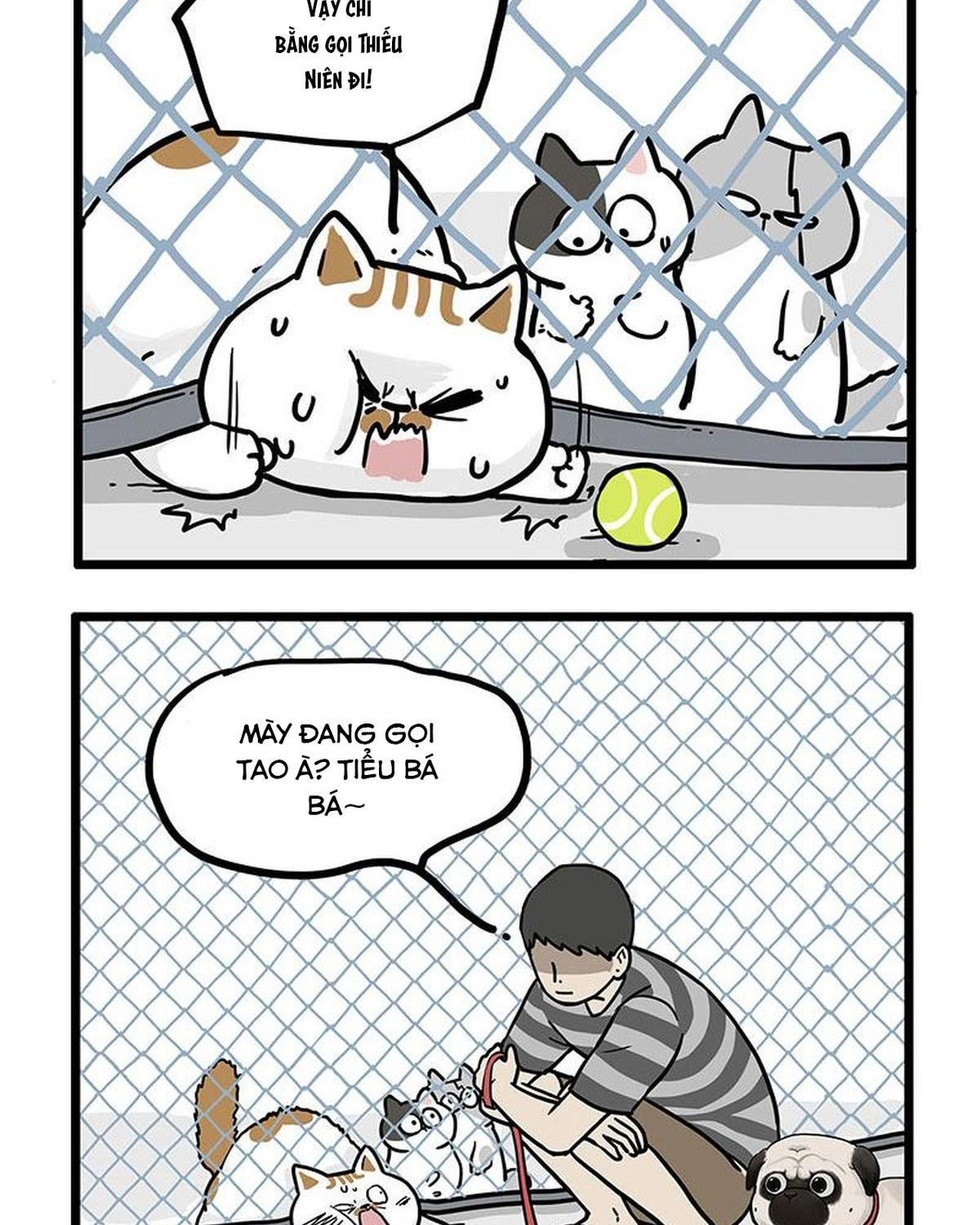 Hoàng Thượng Và Ba Trát Hắc Chapter 439 - Trang 2