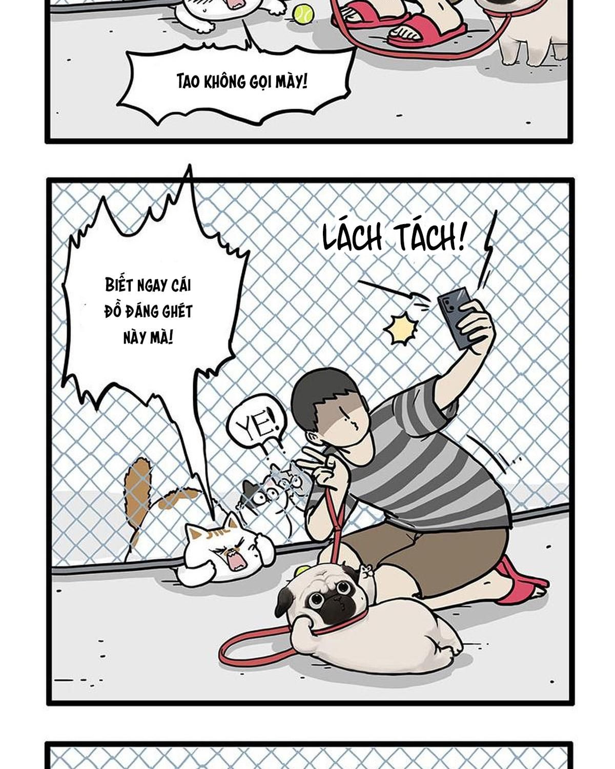 Hoàng Thượng Và Ba Trát Hắc Chapter 439 - Trang 2