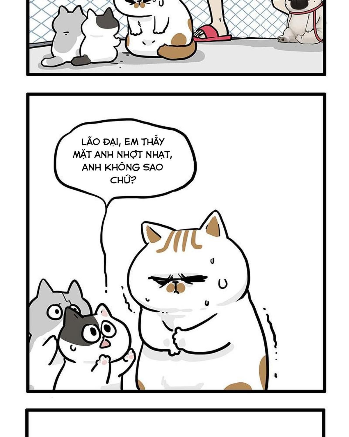 Hoàng Thượng Và Ba Trát Hắc Chapter 439 - Trang 2