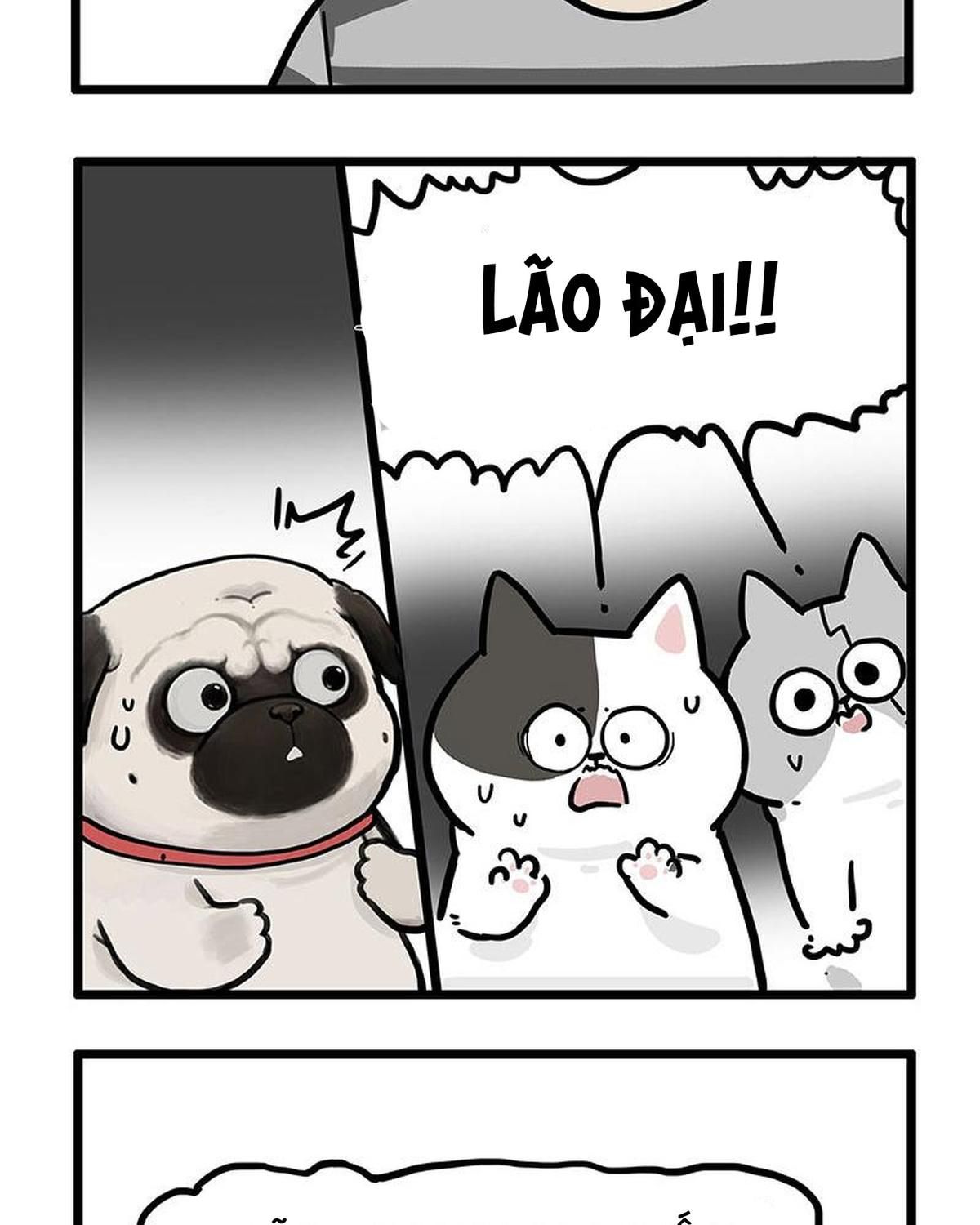 Hoàng Thượng Và Ba Trát Hắc Chapter 439 - Trang 2