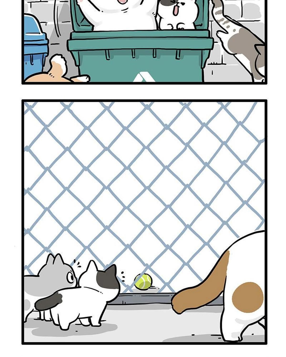 Hoàng Thượng Và Ba Trát Hắc Chapter 439 - Trang 2