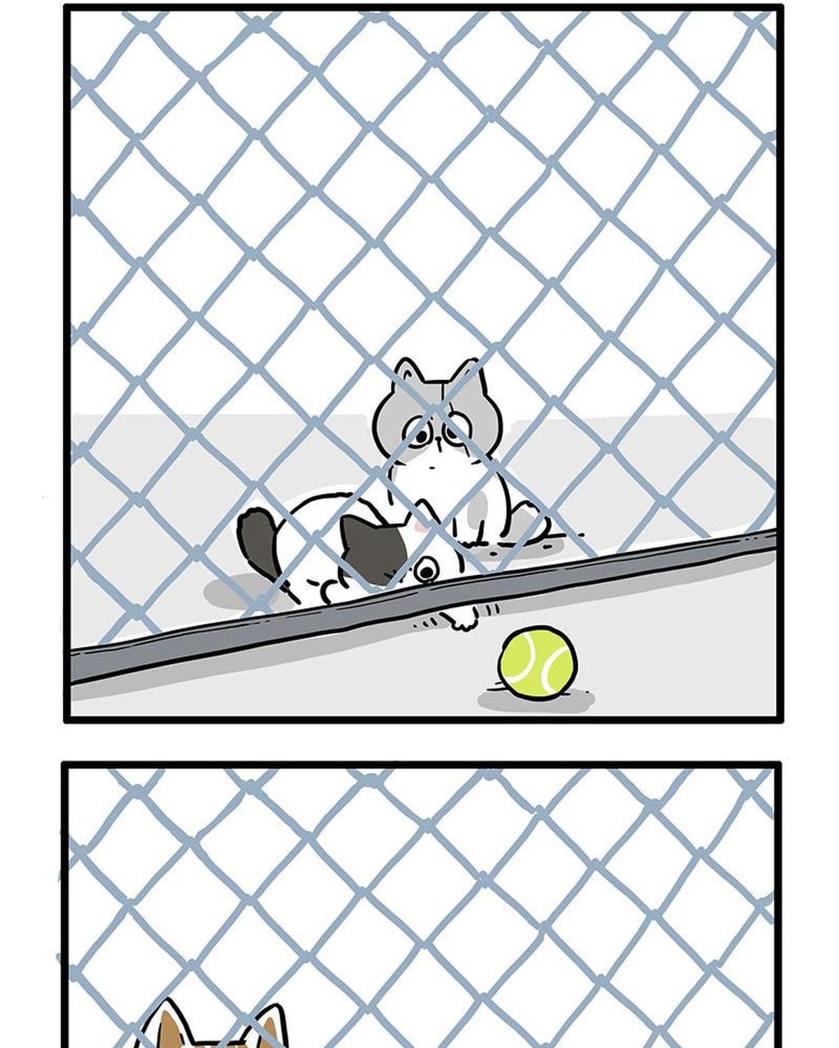 Hoàng Thượng Và Ba Trát Hắc Chapter 439 - Trang 2