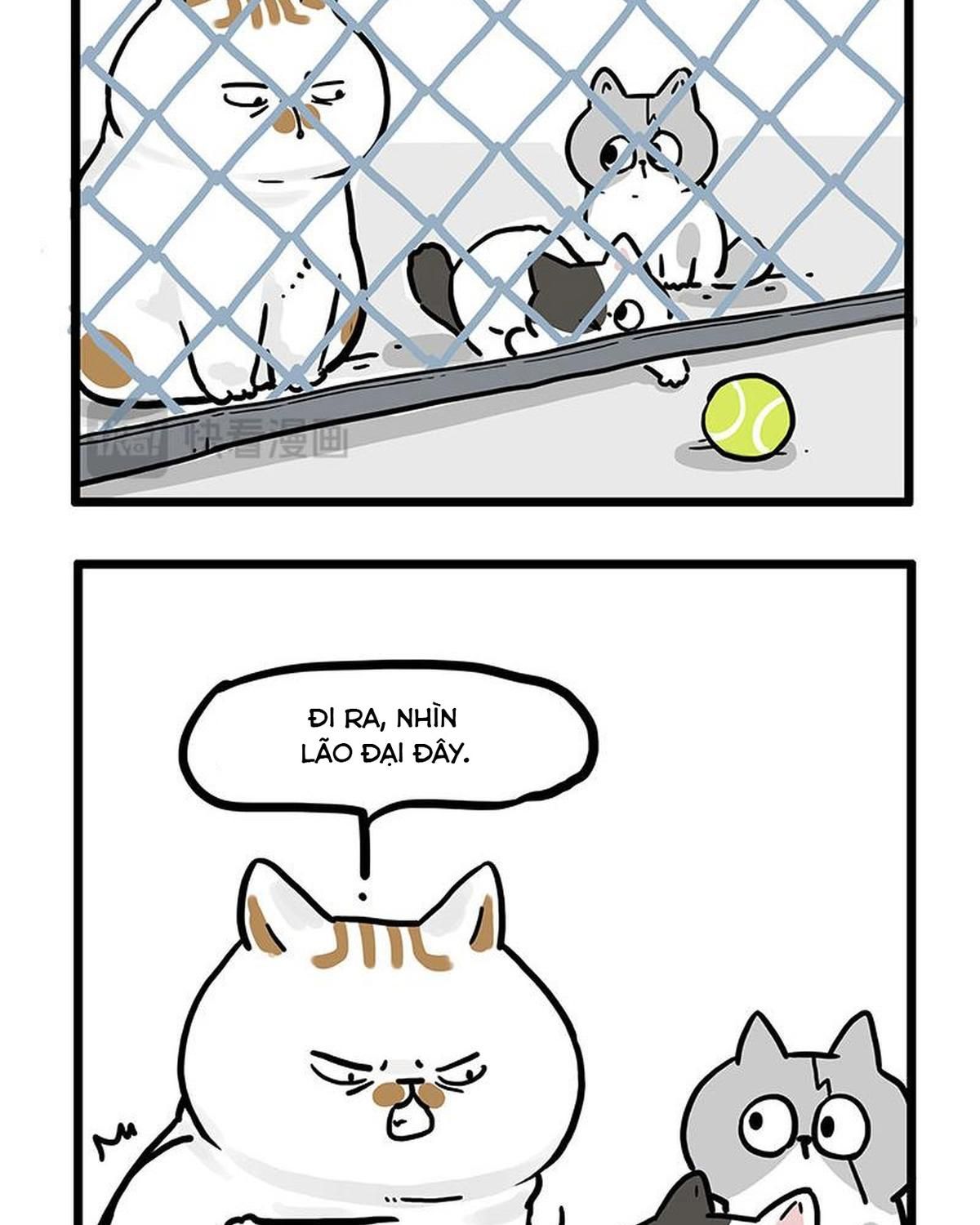 Hoàng Thượng Và Ba Trát Hắc Chapter 439 - Trang 2