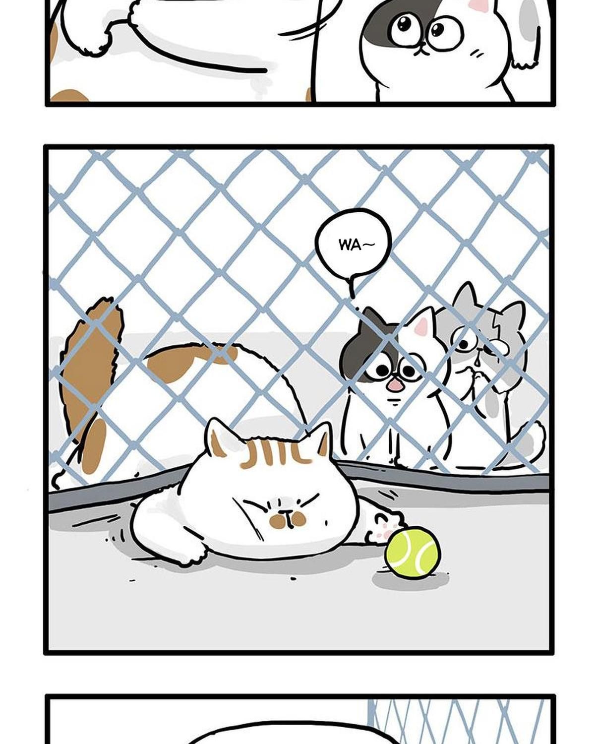 Hoàng Thượng Và Ba Trát Hắc Chapter 439 - Trang 2