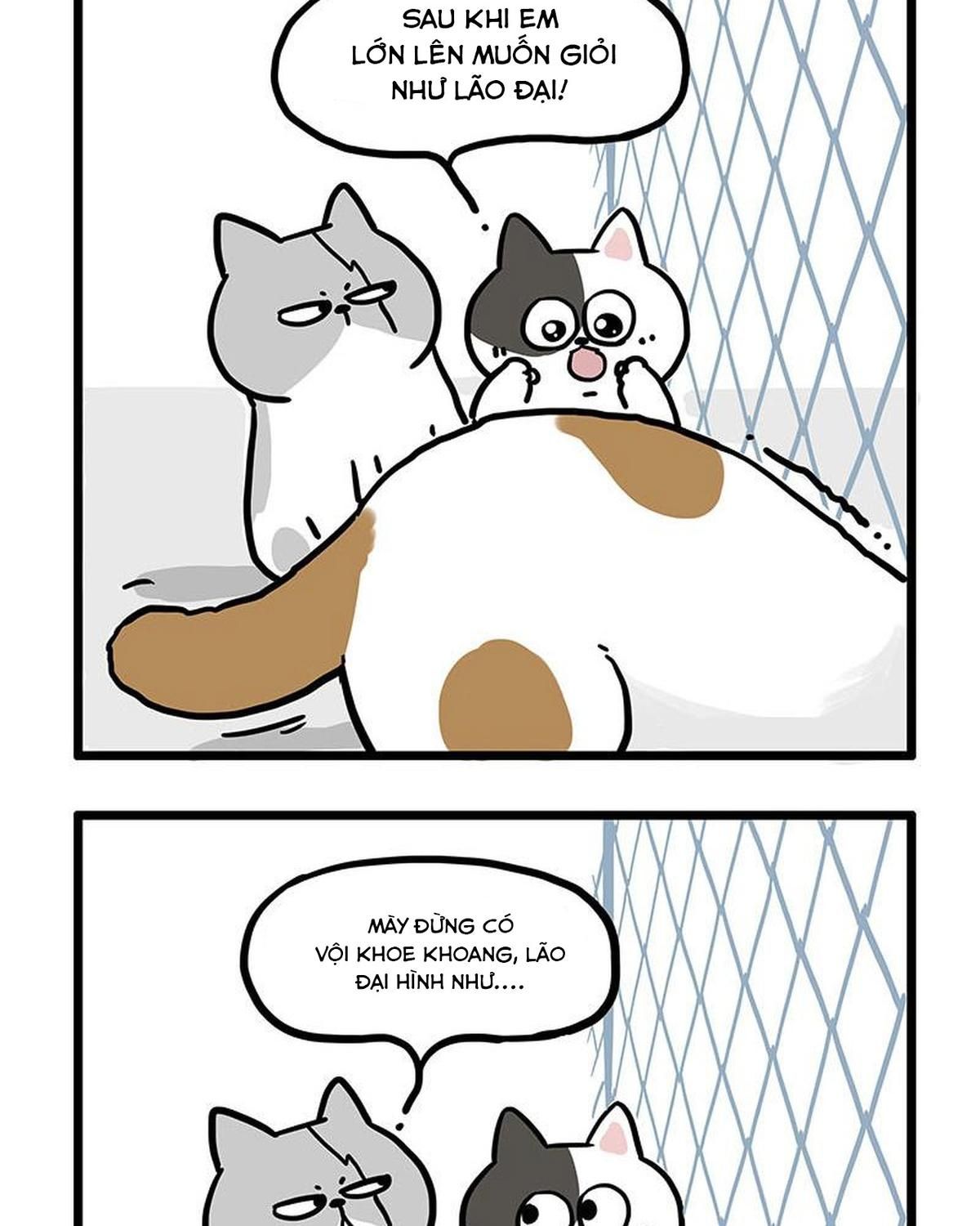 Hoàng Thượng Và Ba Trát Hắc Chapter 439 - Trang 2