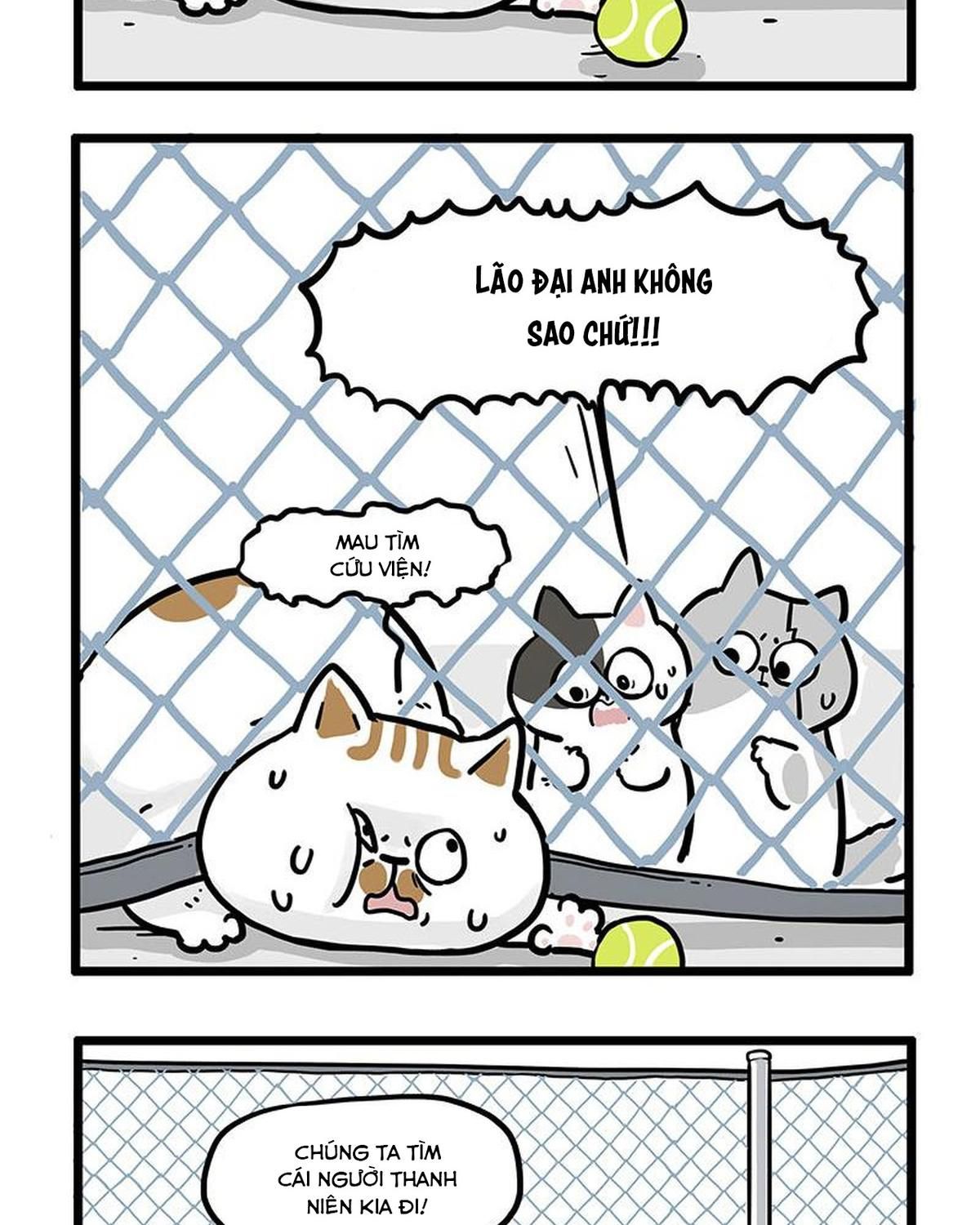 Hoàng Thượng Và Ba Trát Hắc Chapter 439 - Trang 2