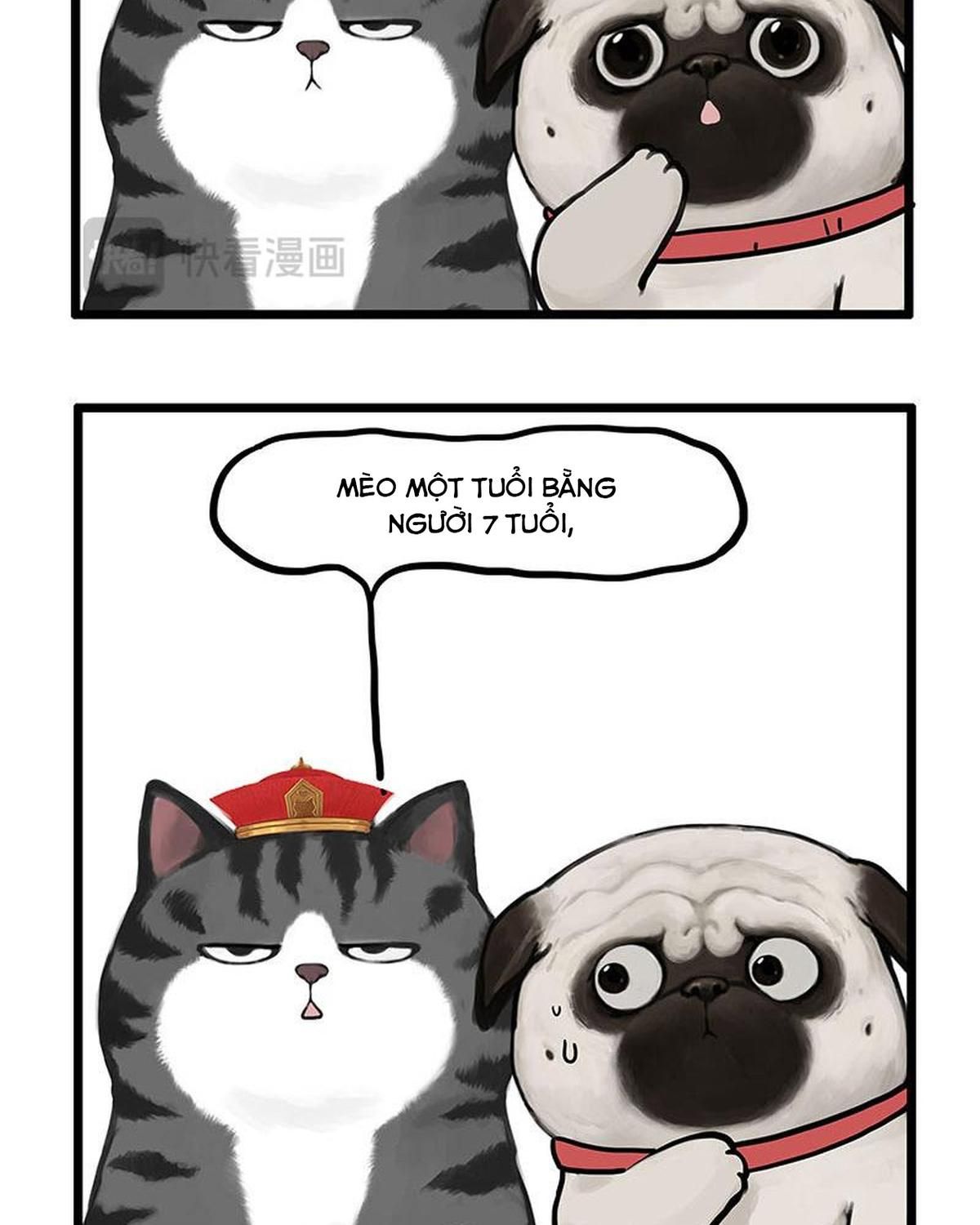 Hoàng Thượng Và Ba Trát Hắc Chapter 440 - Trang 2