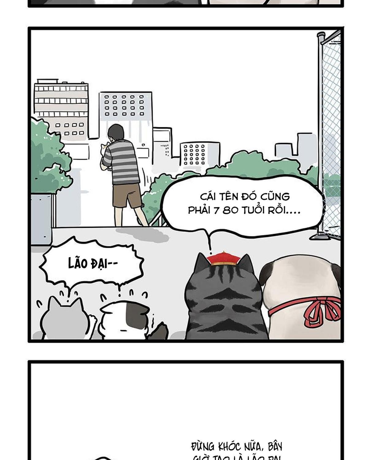 Hoàng Thượng Và Ba Trát Hắc Chapter 440 - Trang 2