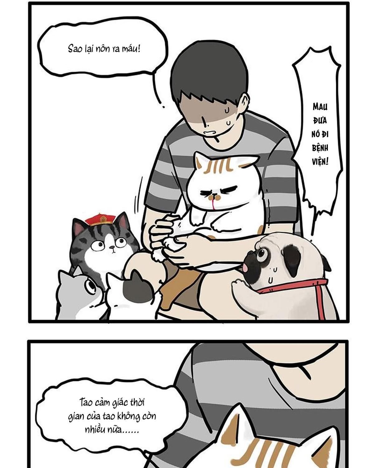 Hoàng Thượng Và Ba Trát Hắc Chapter 440 - Trang 2