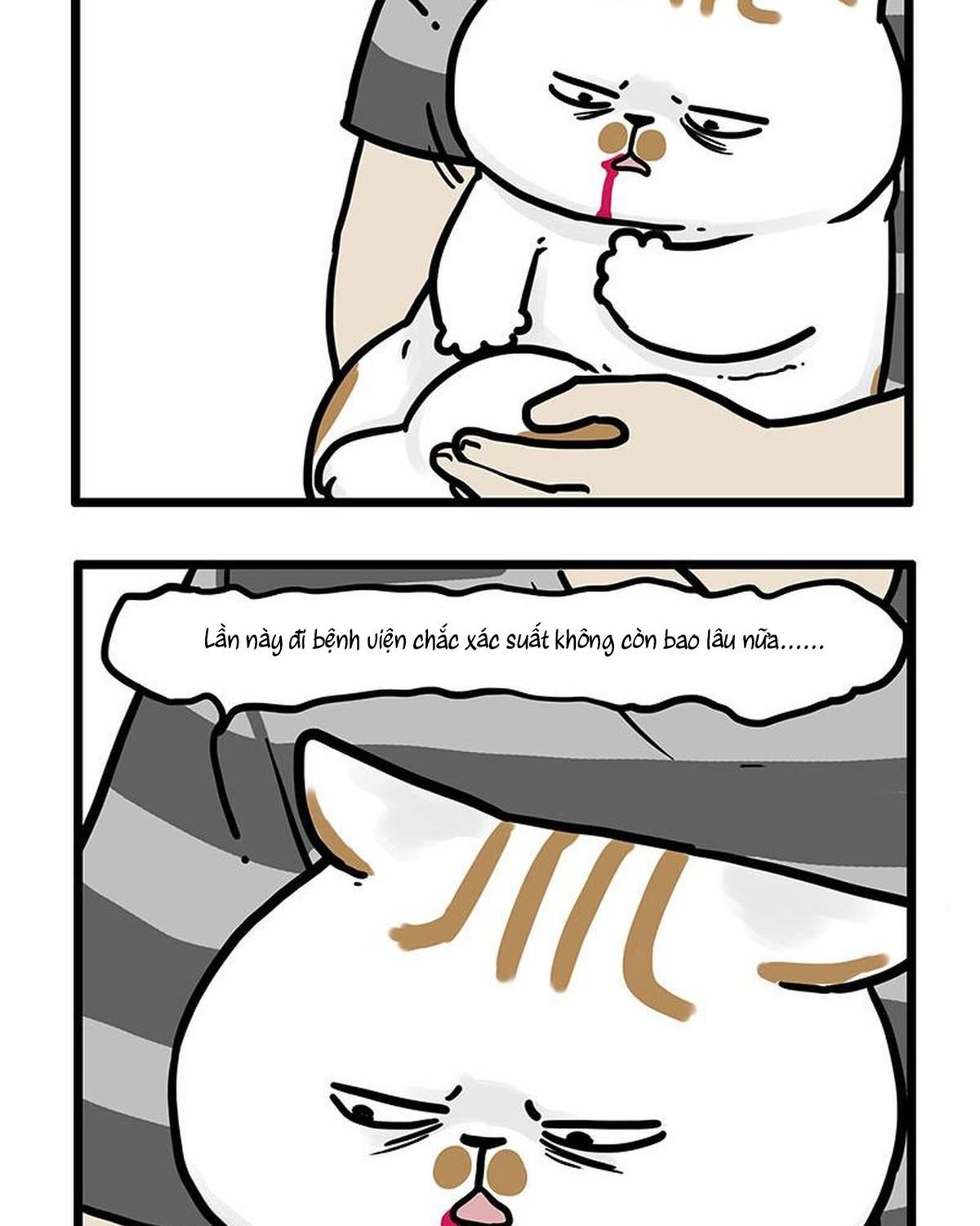 Hoàng Thượng Và Ba Trát Hắc Chapter 440 - Trang 2