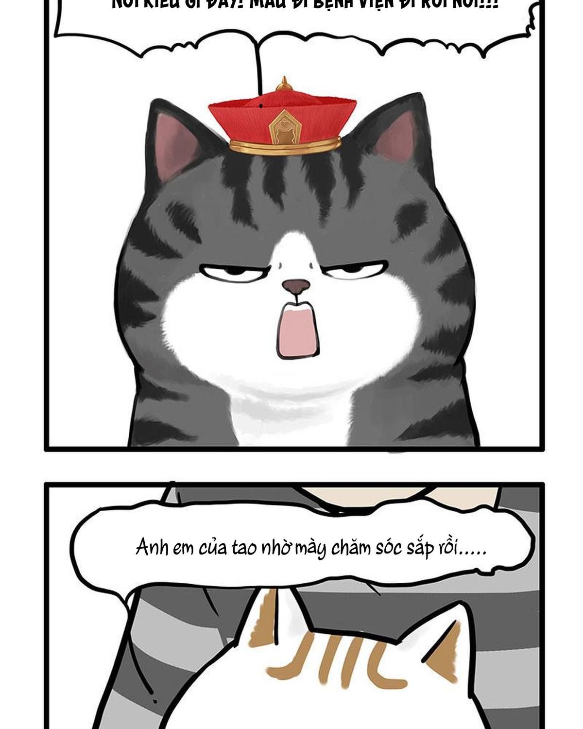 Hoàng Thượng Và Ba Trát Hắc Chapter 440 - Trang 2