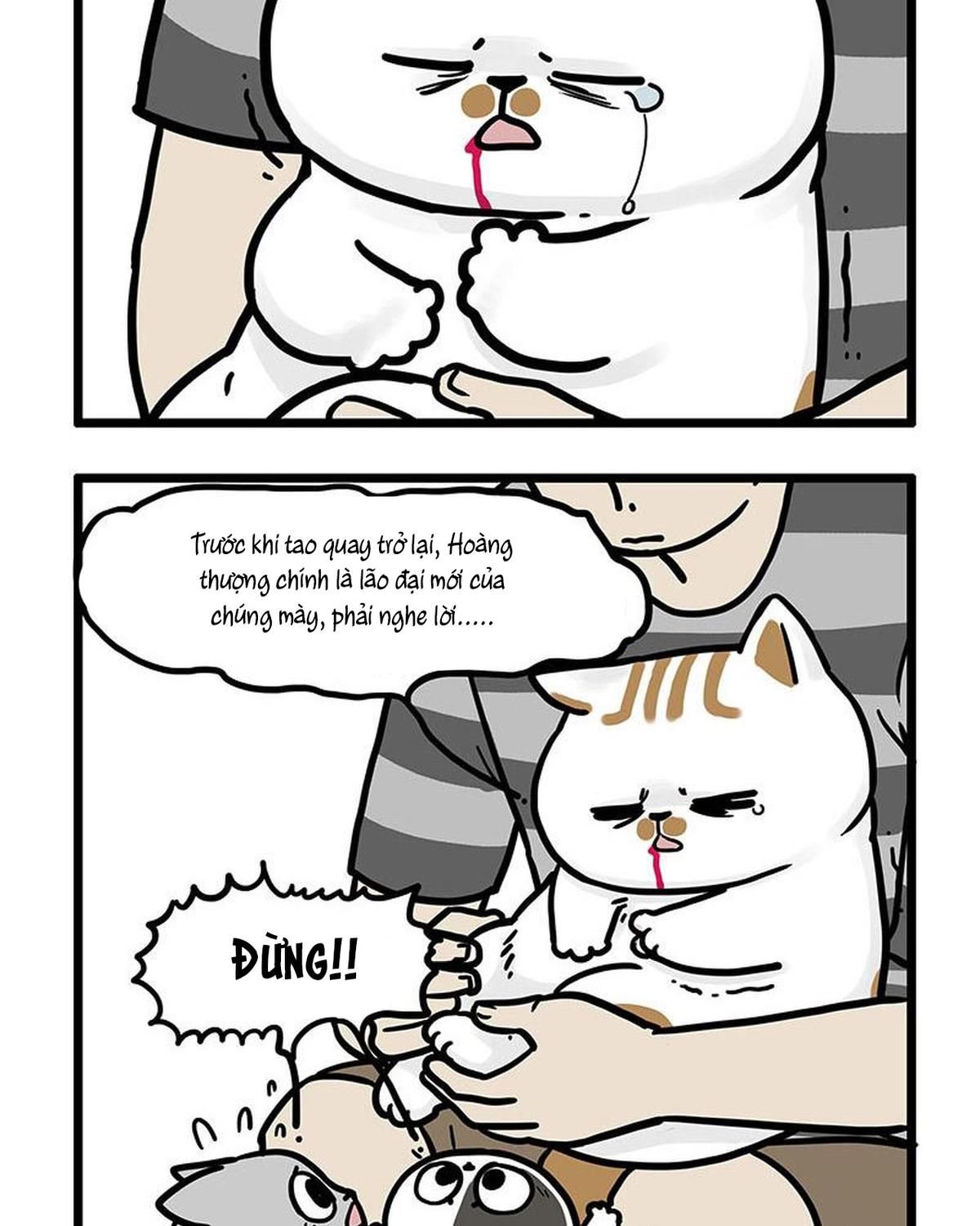 Hoàng Thượng Và Ba Trát Hắc Chapter 440 - Trang 2