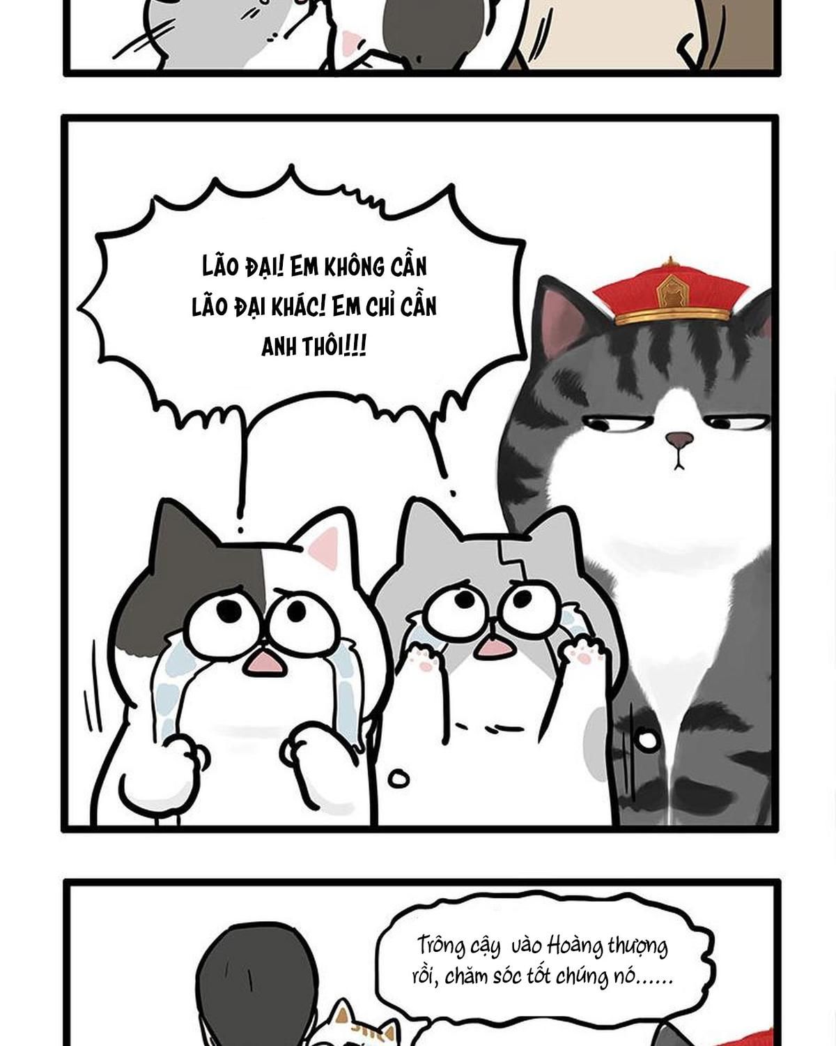 Hoàng Thượng Và Ba Trát Hắc Chapter 440 - Trang 2