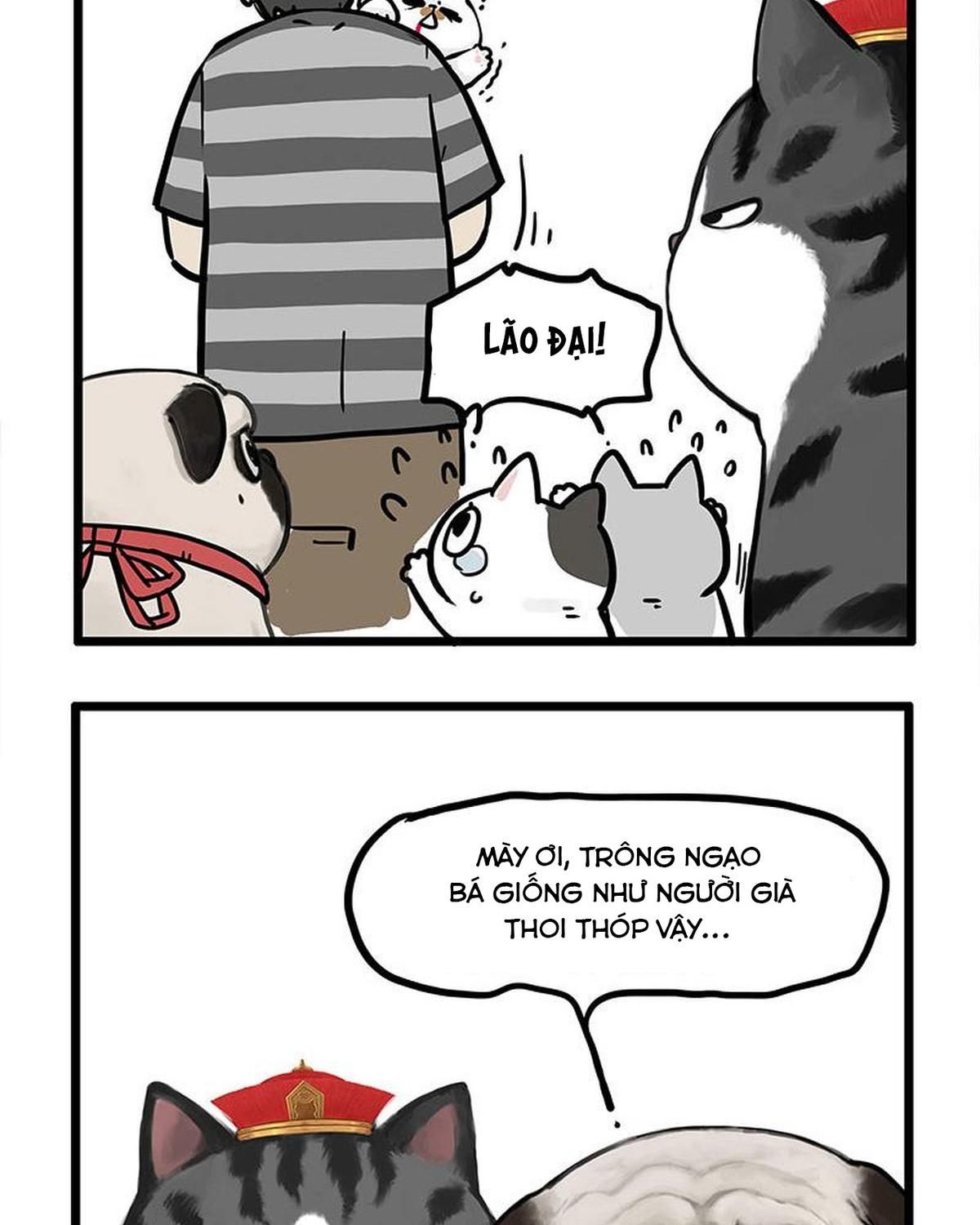 Hoàng Thượng Và Ba Trát Hắc Chapter 440 - Trang 2