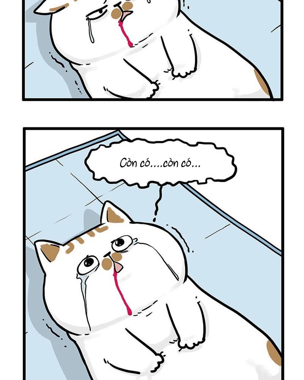 Hoàng Thượng Và Ba Trát Hắc Chapter 441 - Trang 2