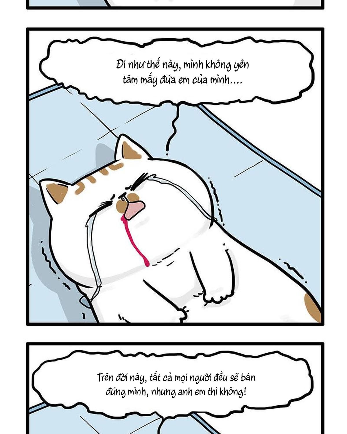 Hoàng Thượng Và Ba Trát Hắc Chapter 441 - Trang 2