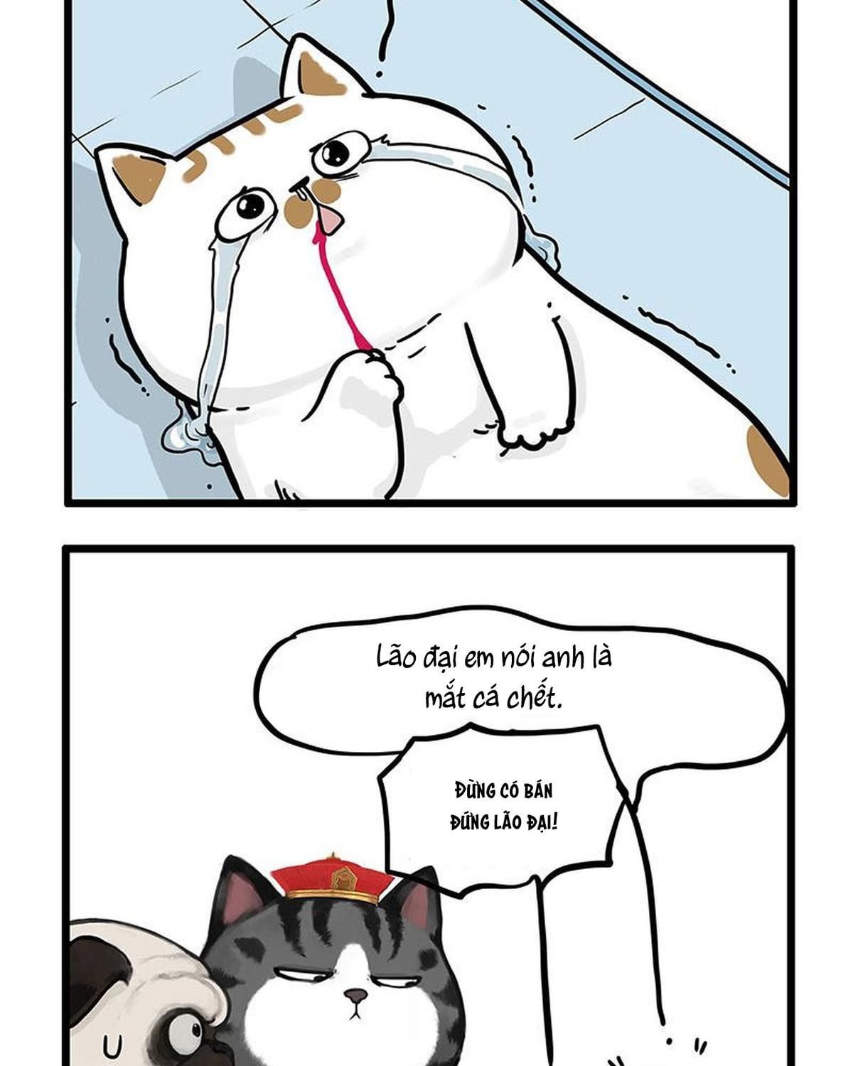 Hoàng Thượng Và Ba Trát Hắc Chapter 441 - Trang 2