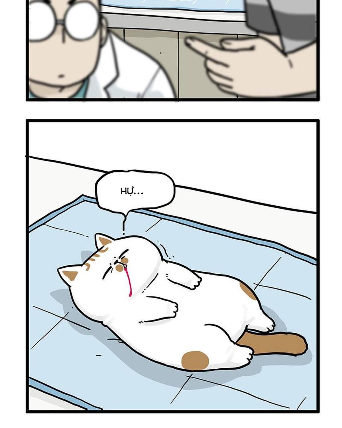 Hoàng Thượng Và Ba Trát Hắc Chapter 441 - Trang 2