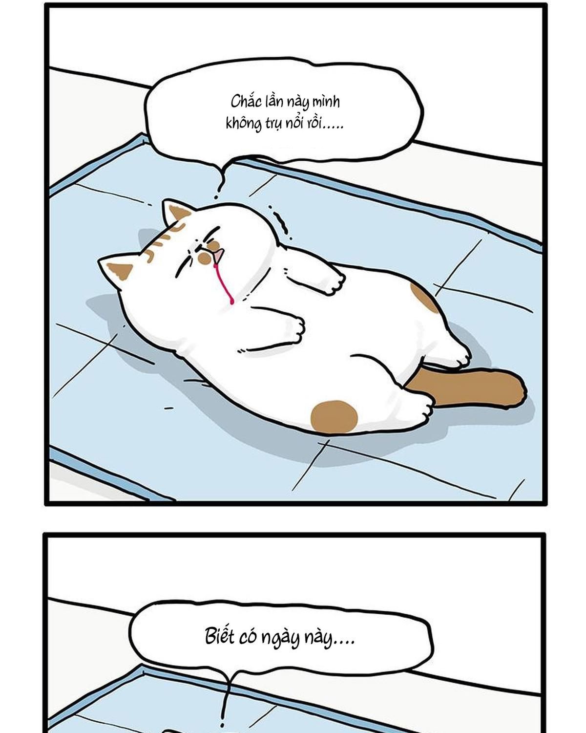 Hoàng Thượng Và Ba Trát Hắc Chapter 441 - Trang 2