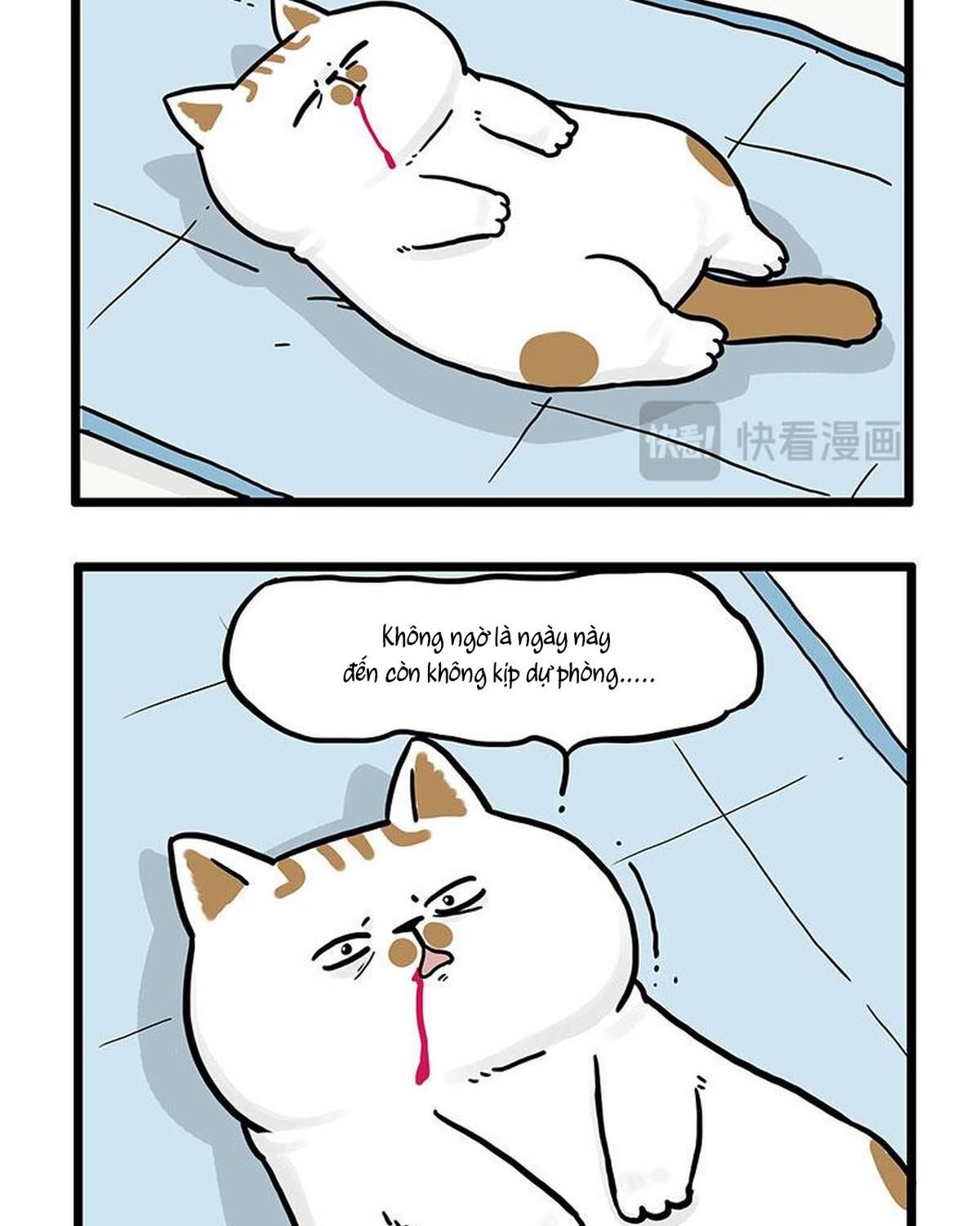 Hoàng Thượng Và Ba Trát Hắc Chapter 441 - Trang 2