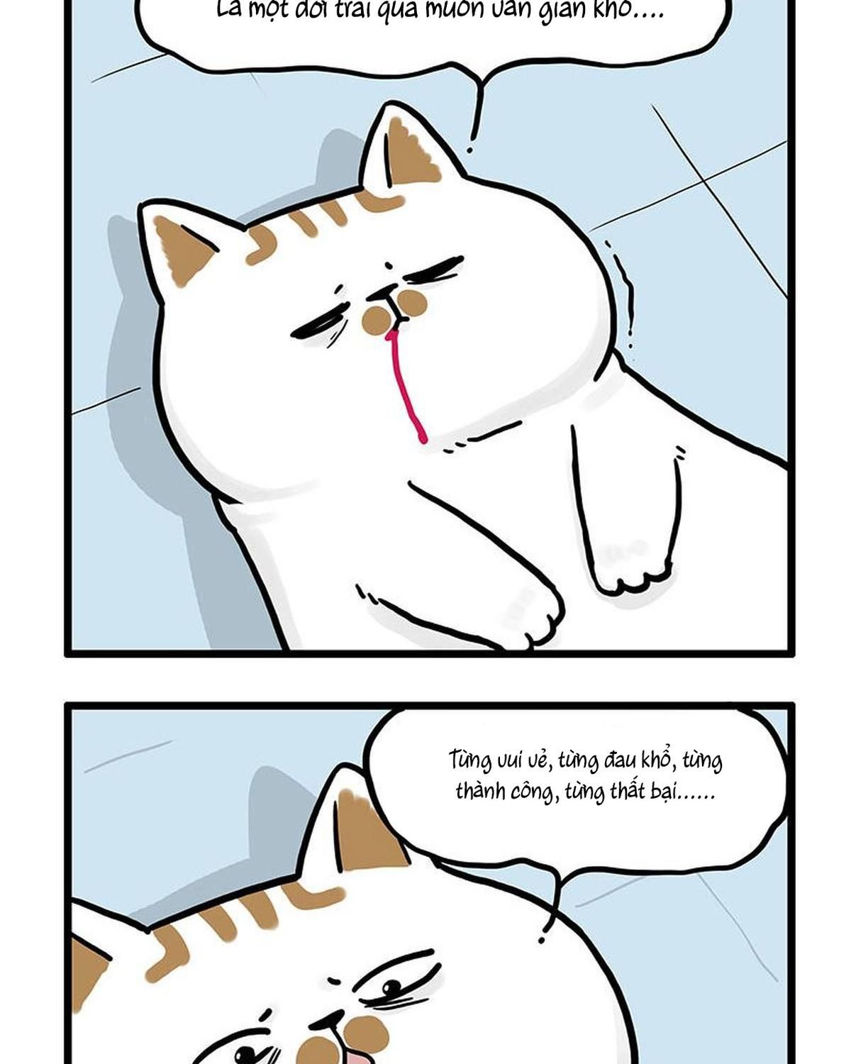 Hoàng Thượng Và Ba Trát Hắc Chapter 441 - Trang 2