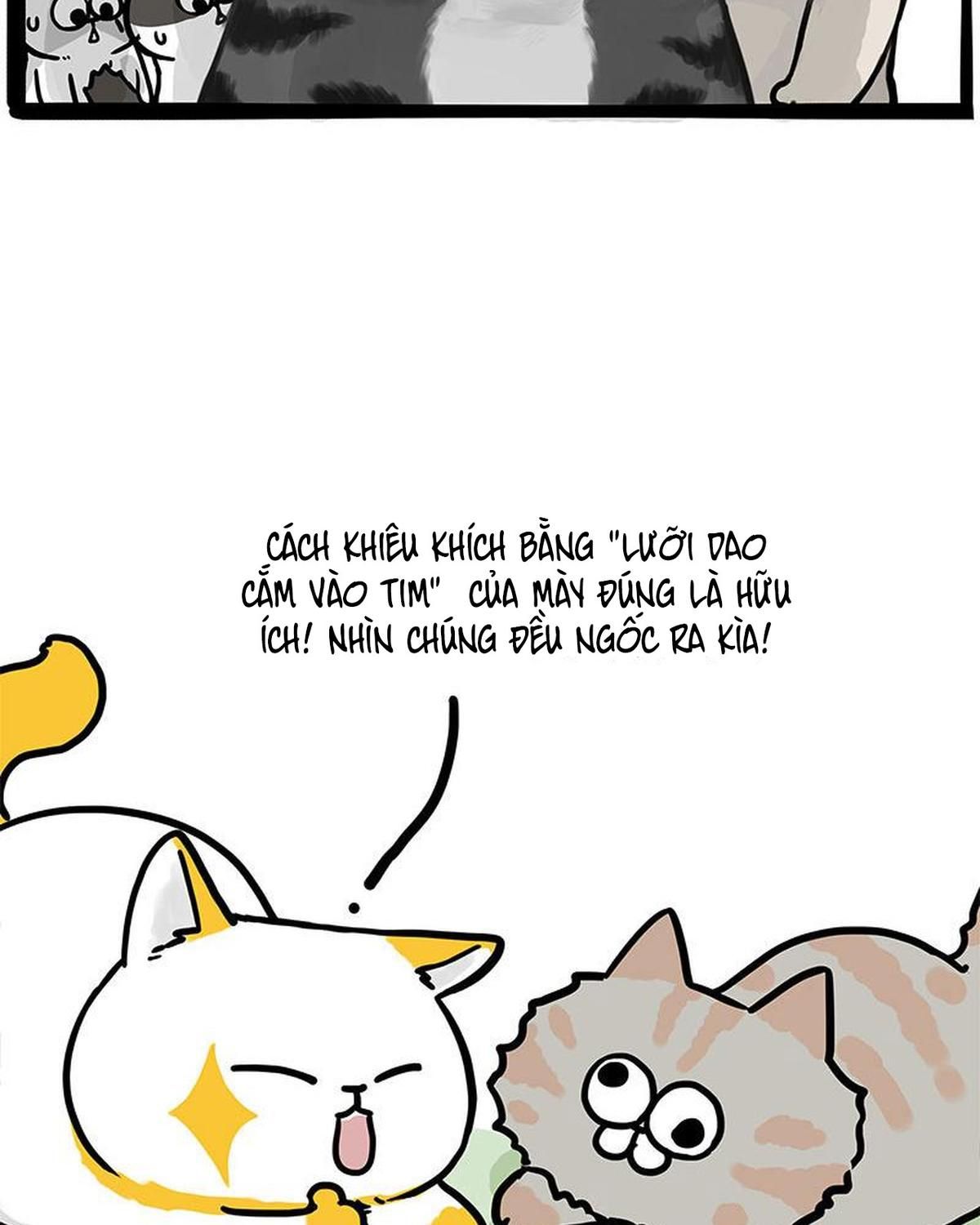 Hoàng Thượng Và Ba Trát Hắc Chapter 442 - Trang 2