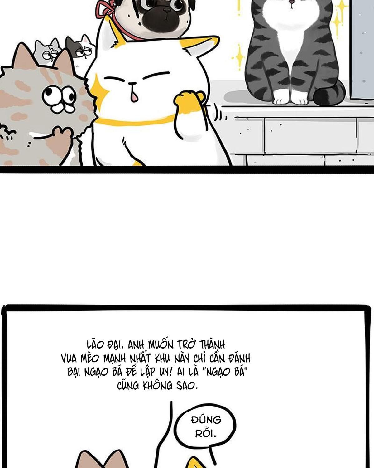 Hoàng Thượng Và Ba Trát Hắc Chapter 442 - Trang 2