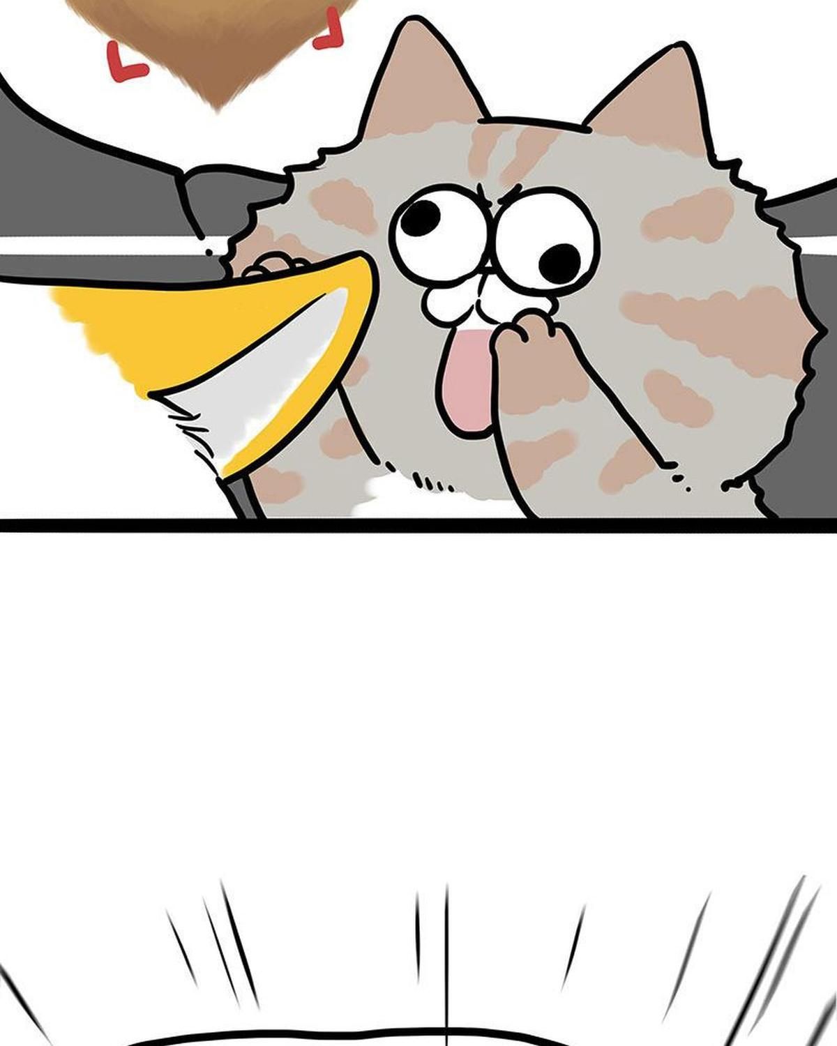 Hoàng Thượng Và Ba Trát Hắc Chapter 442 - Trang 2