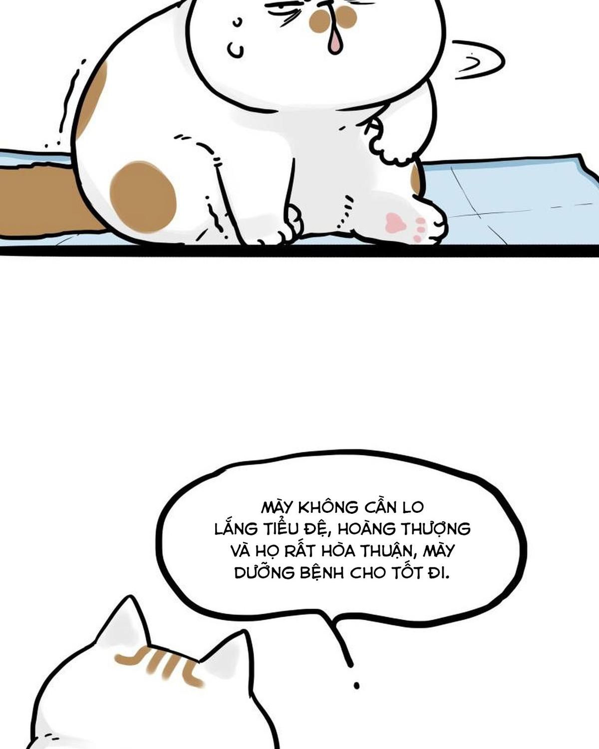 Hoàng Thượng Và Ba Trát Hắc Chapter 443 - Trang 2