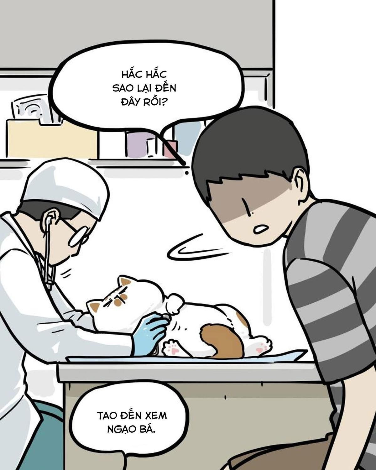 Hoàng Thượng Và Ba Trát Hắc Chapter 443 - Trang 2