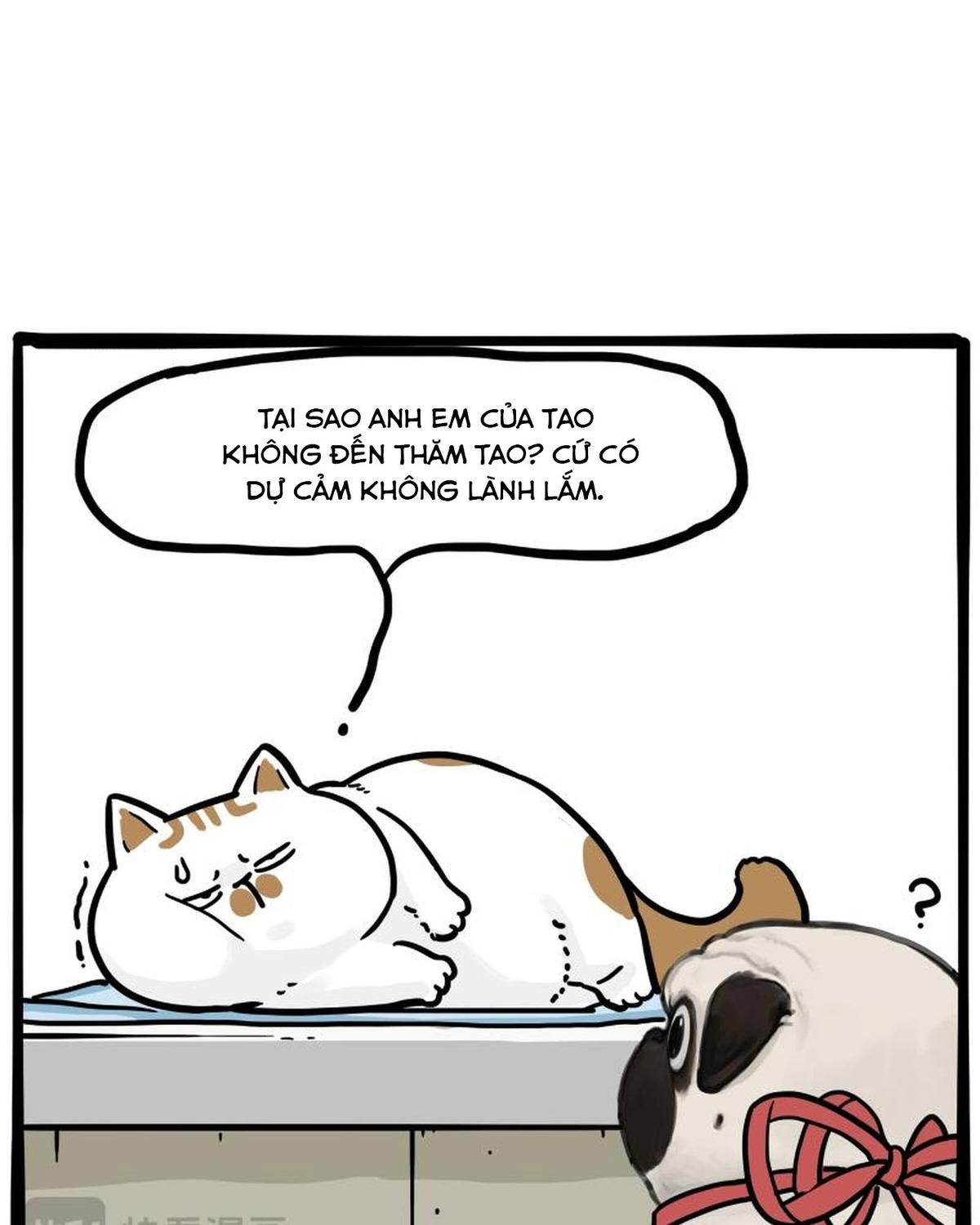 Hoàng Thượng Và Ba Trát Hắc Chapter 443 - Trang 2