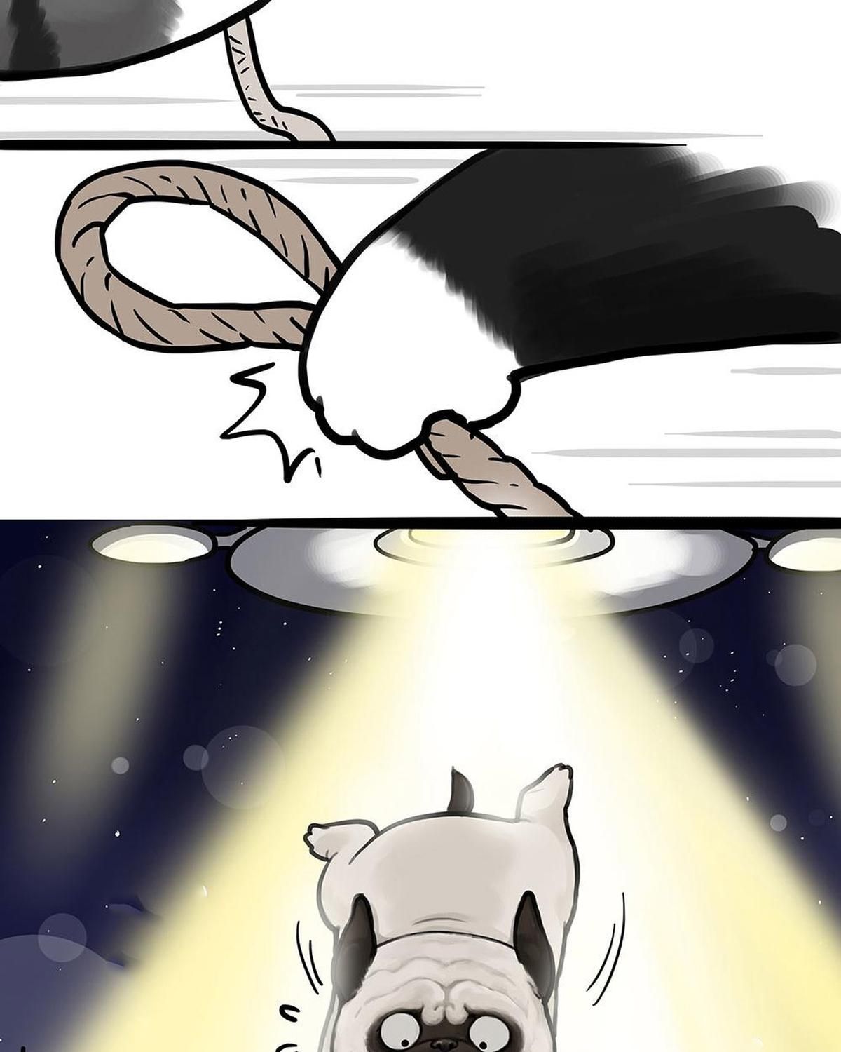 Hoàng Thượng Và Ba Trát Hắc Chapter 444 - Trang 2