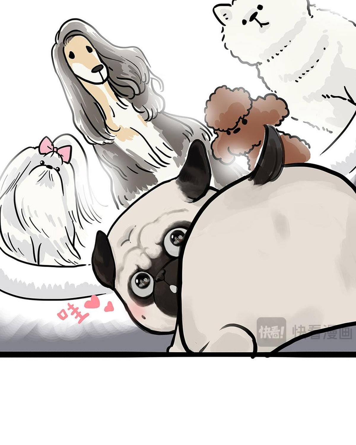 Hoàng Thượng Và Ba Trát Hắc Chapter 444 - Trang 2