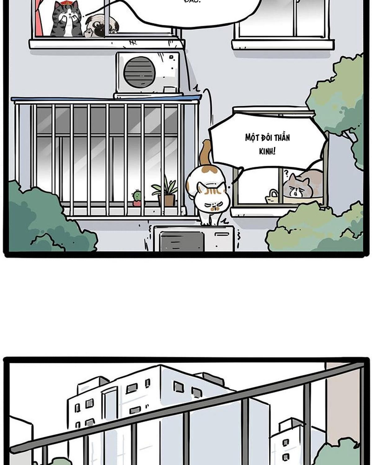 Hoàng Thượng Và Ba Trát Hắc Chapter 445 - Trang 2