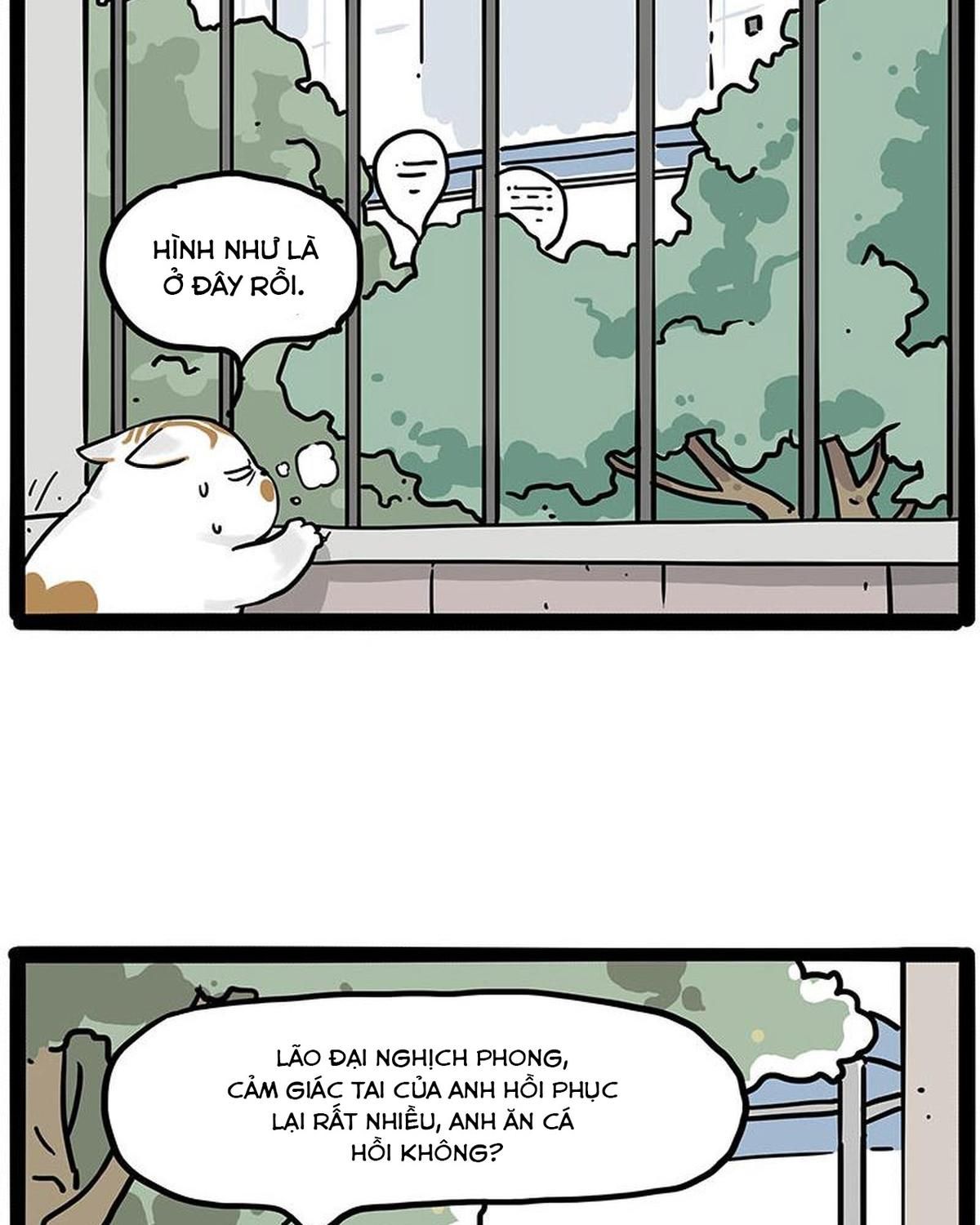 Hoàng Thượng Và Ba Trát Hắc Chapter 445 - Trang 2