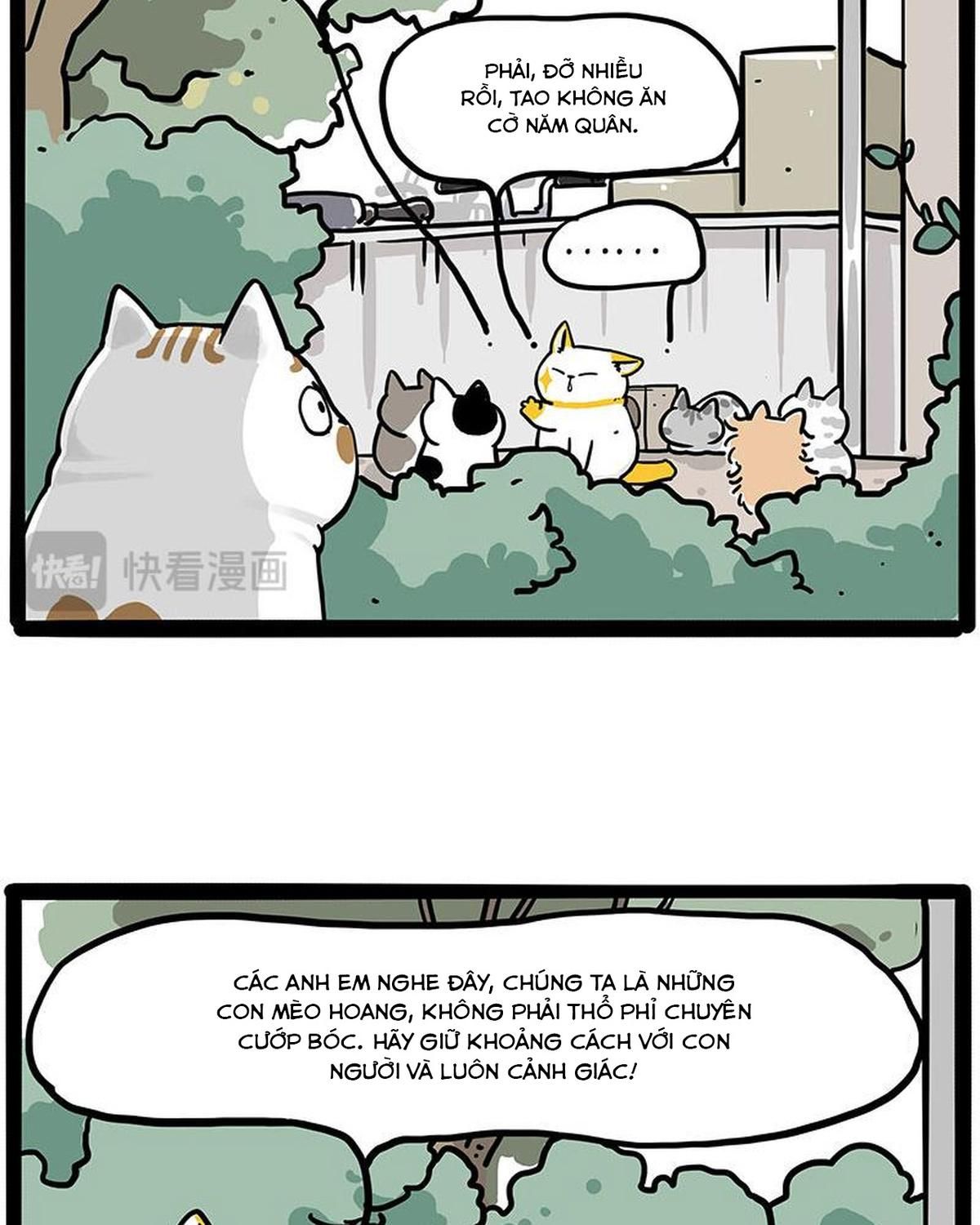 Hoàng Thượng Và Ba Trát Hắc Chapter 445 - Trang 2