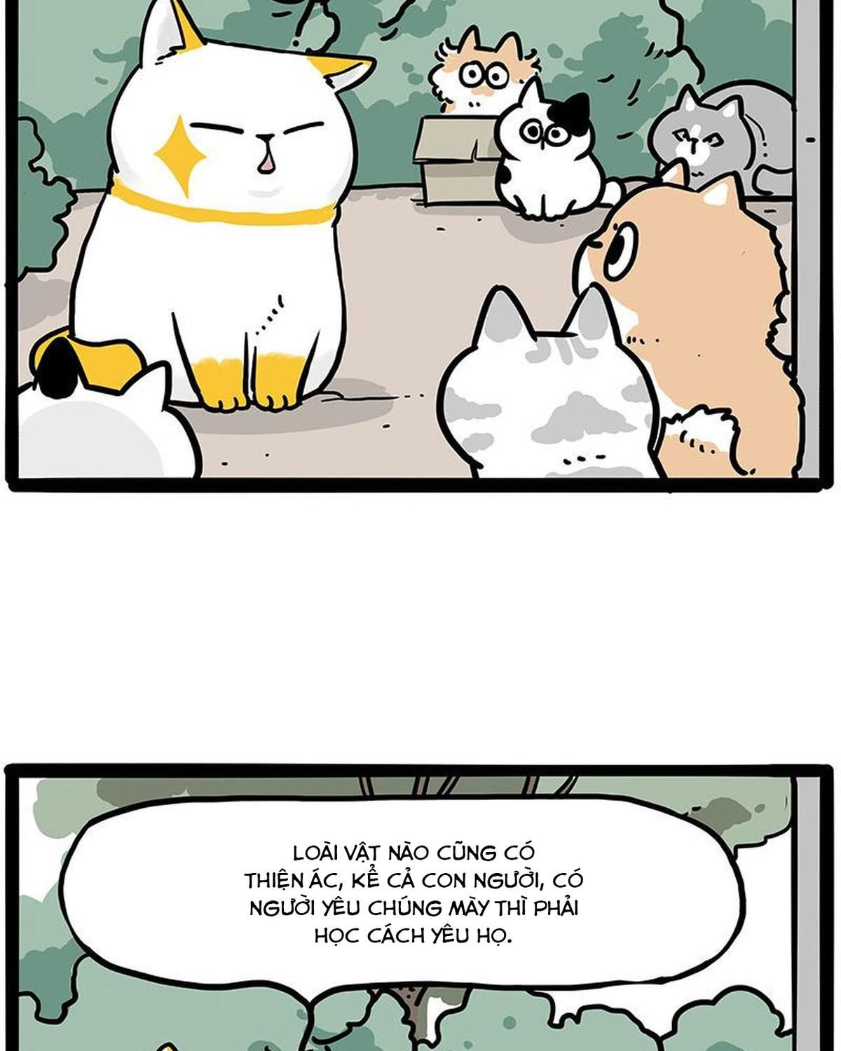 Hoàng Thượng Và Ba Trát Hắc Chapter 445 - Trang 2