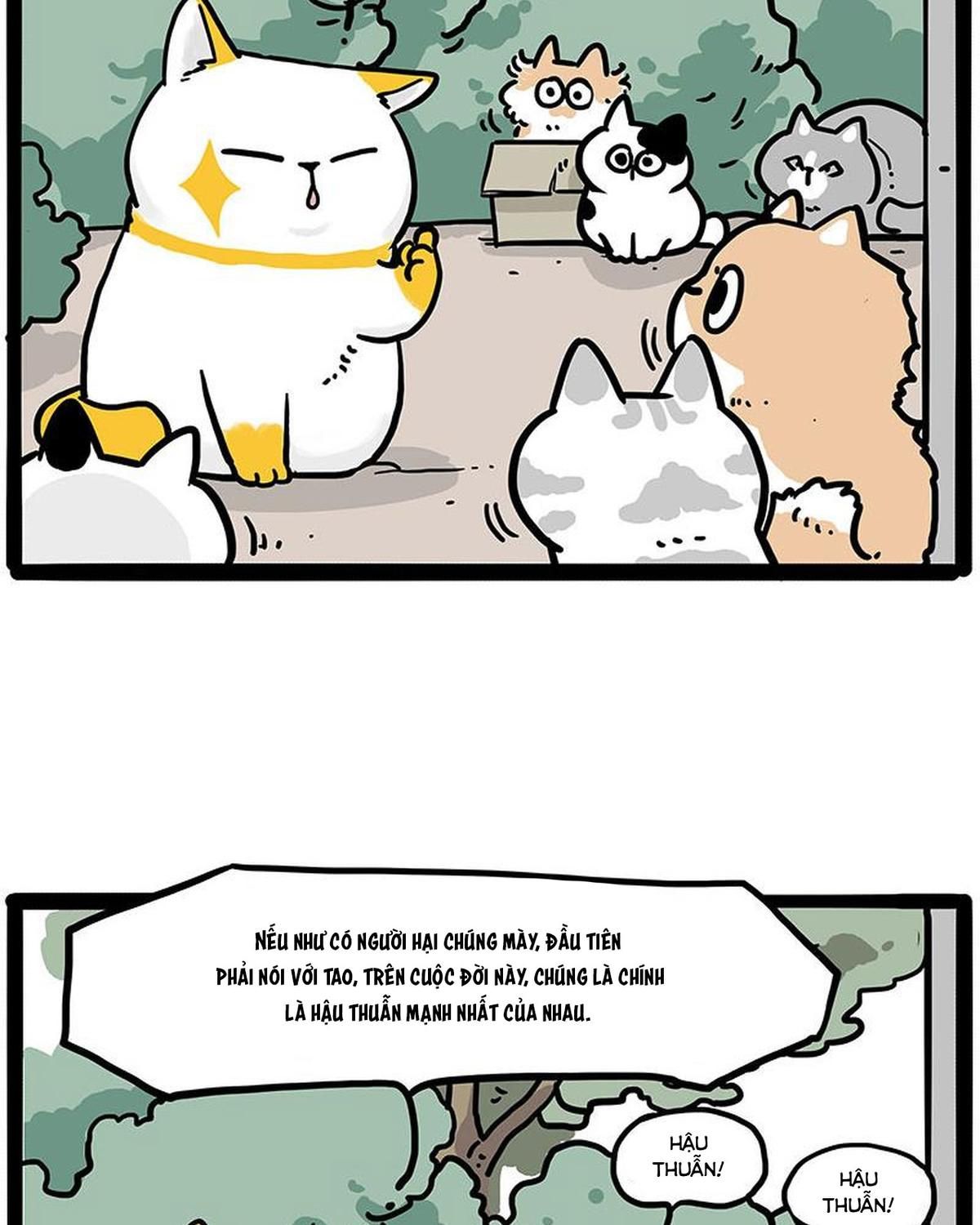 Hoàng Thượng Và Ba Trát Hắc Chapter 445 - Trang 2