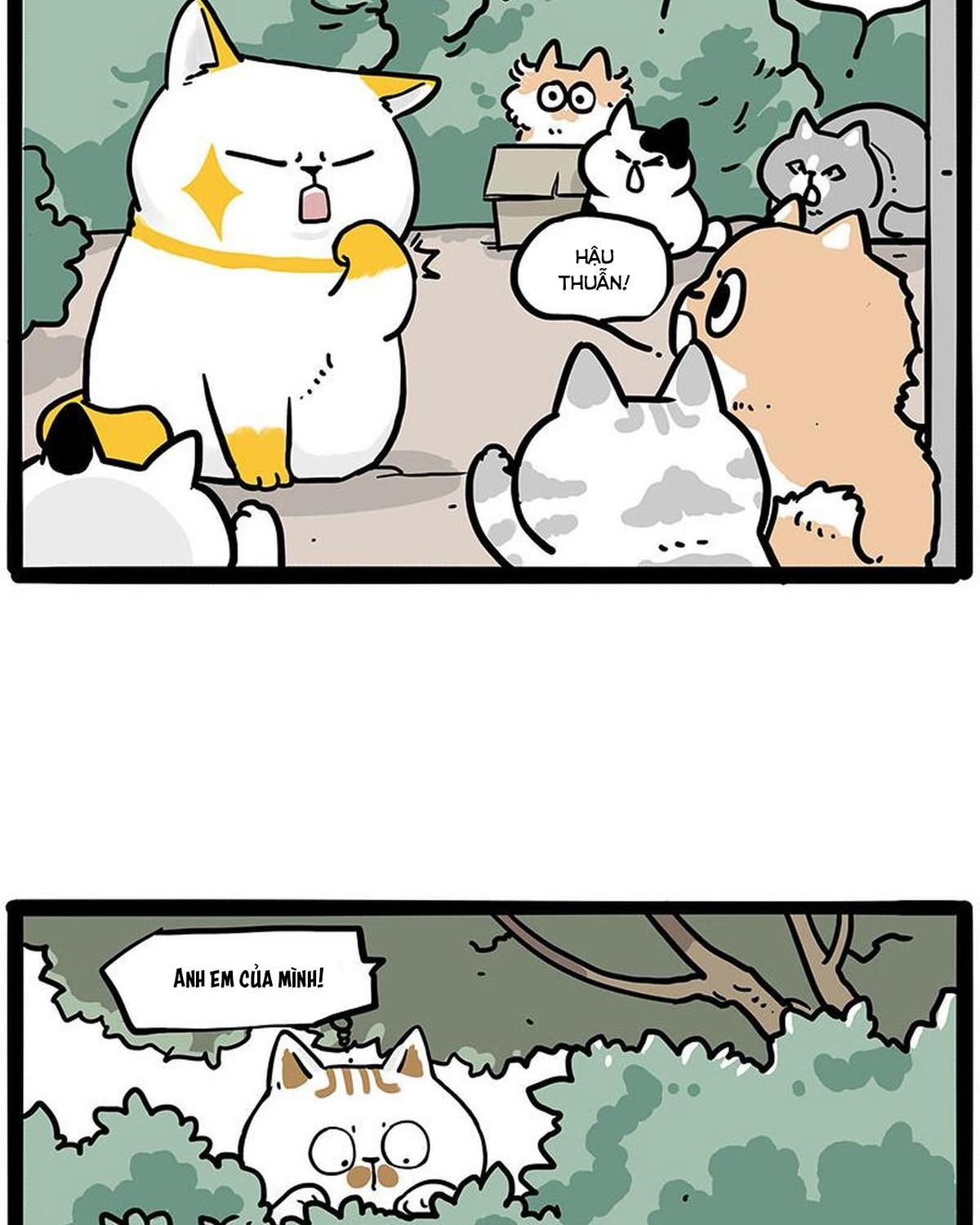 Hoàng Thượng Và Ba Trát Hắc Chapter 445 - Trang 2