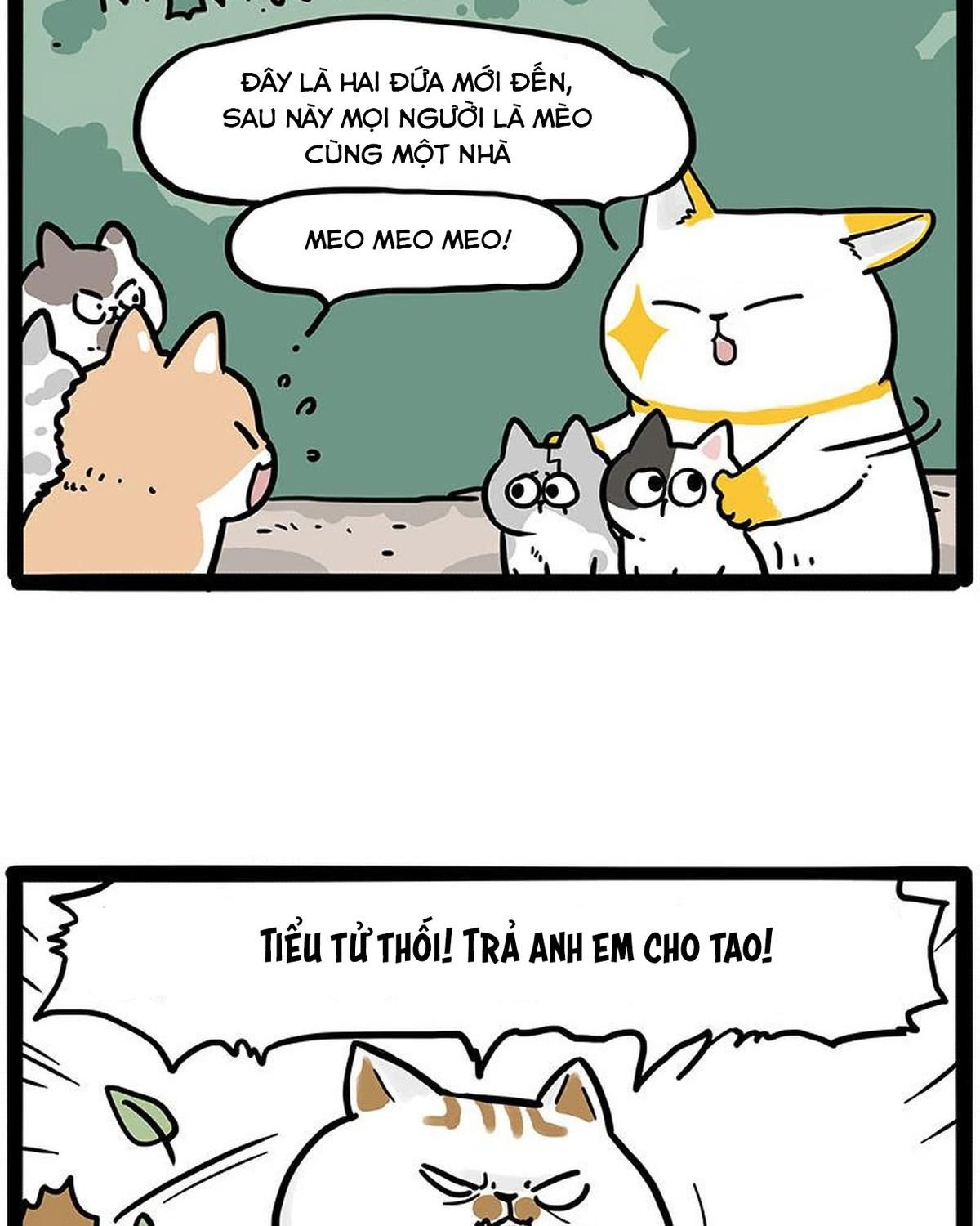 Hoàng Thượng Và Ba Trát Hắc Chapter 445 - Trang 2