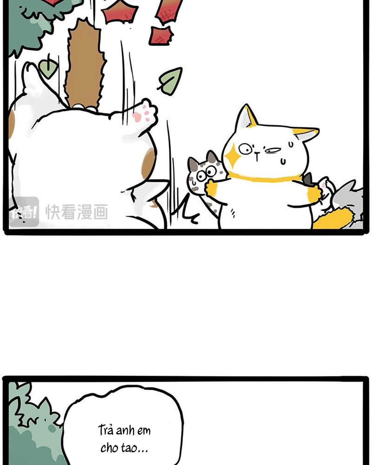 Hoàng Thượng Và Ba Trát Hắc Chapter 445 - Trang 2