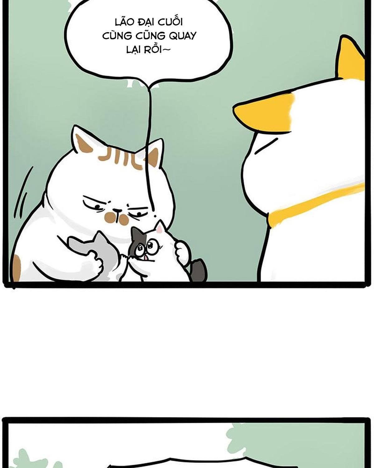 Hoàng Thượng Và Ba Trát Hắc Chapter 445 - Trang 2