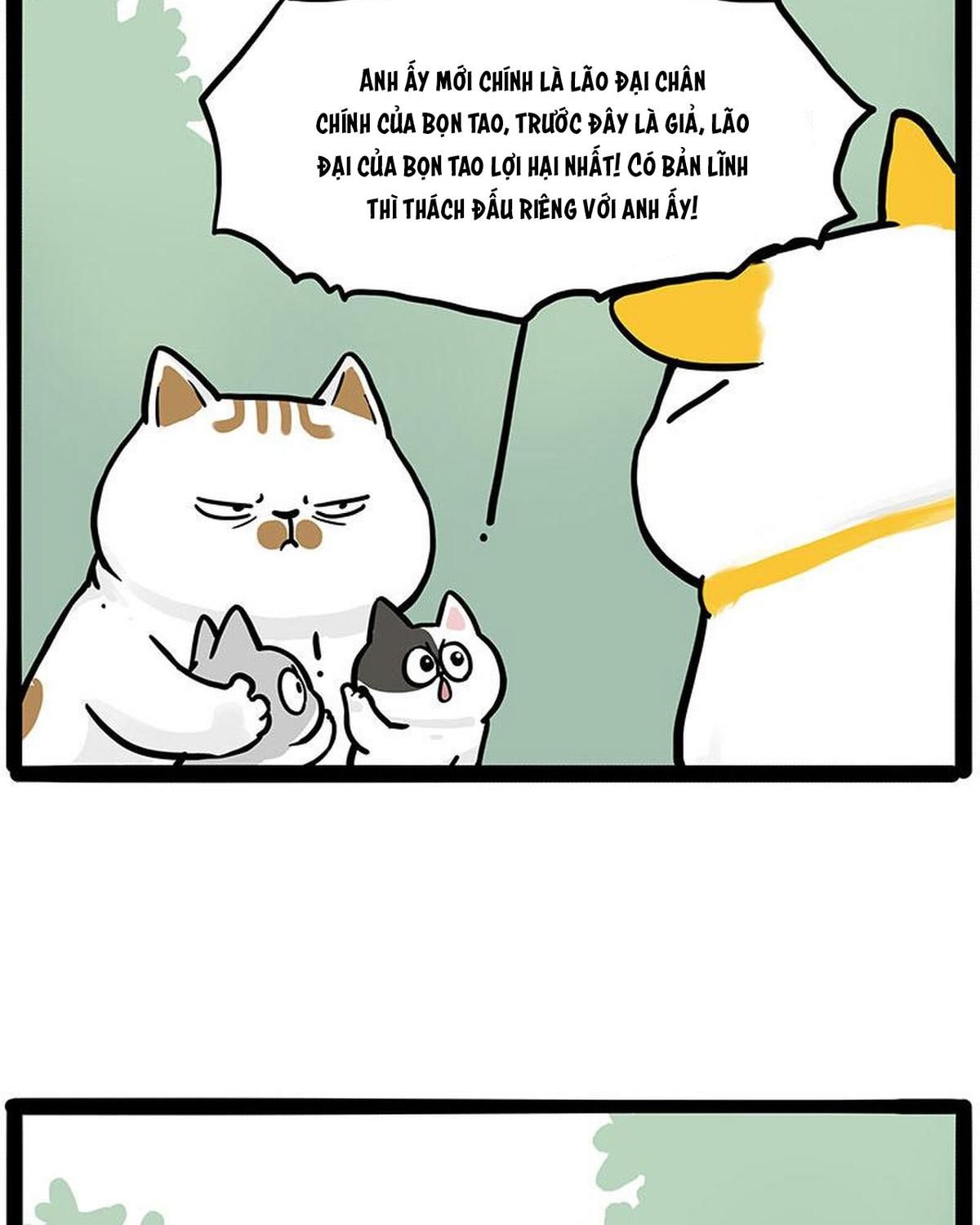 Hoàng Thượng Và Ba Trát Hắc Chapter 445 - Trang 2
