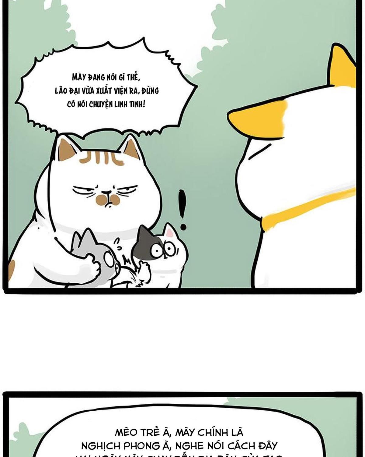 Hoàng Thượng Và Ba Trát Hắc Chapter 445 - Trang 2