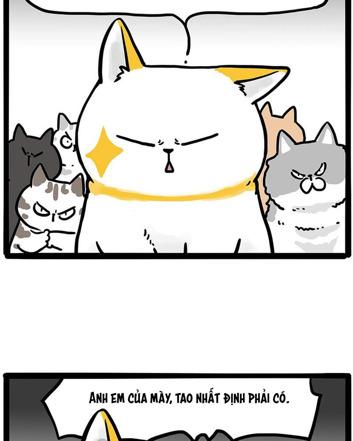 Hoàng Thượng Và Ba Trát Hắc Chapter 445 - Trang 2