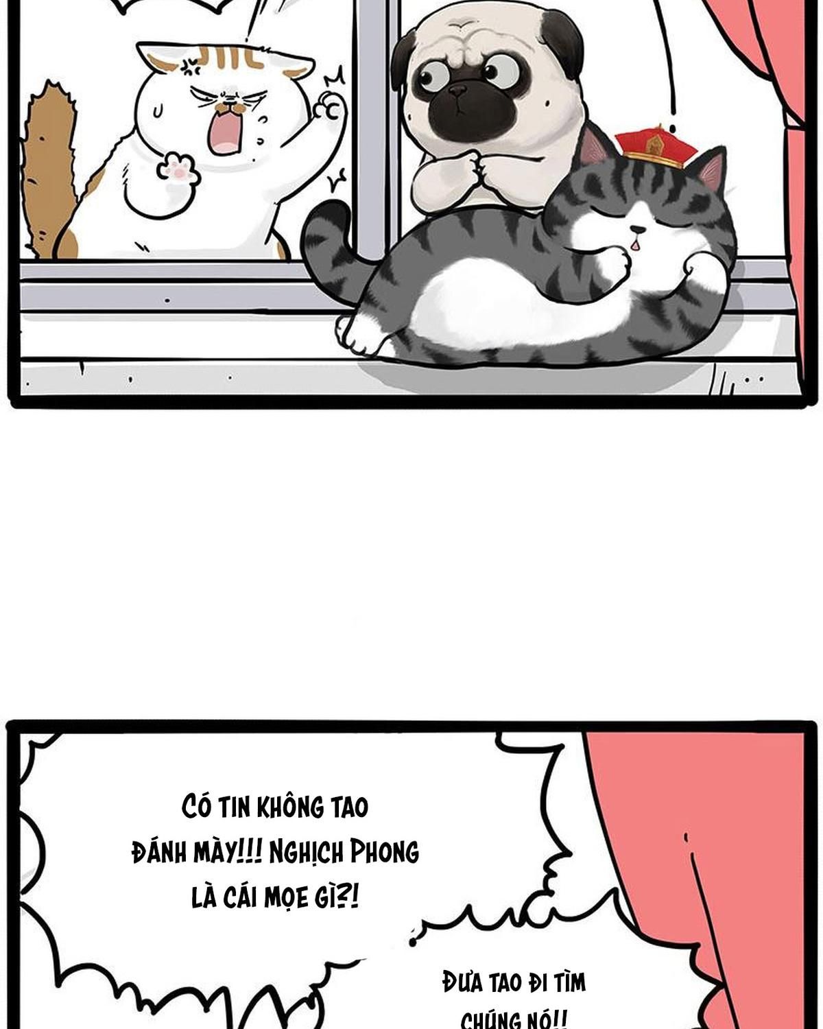 Hoàng Thượng Và Ba Trát Hắc Chapter 445 - Trang 2