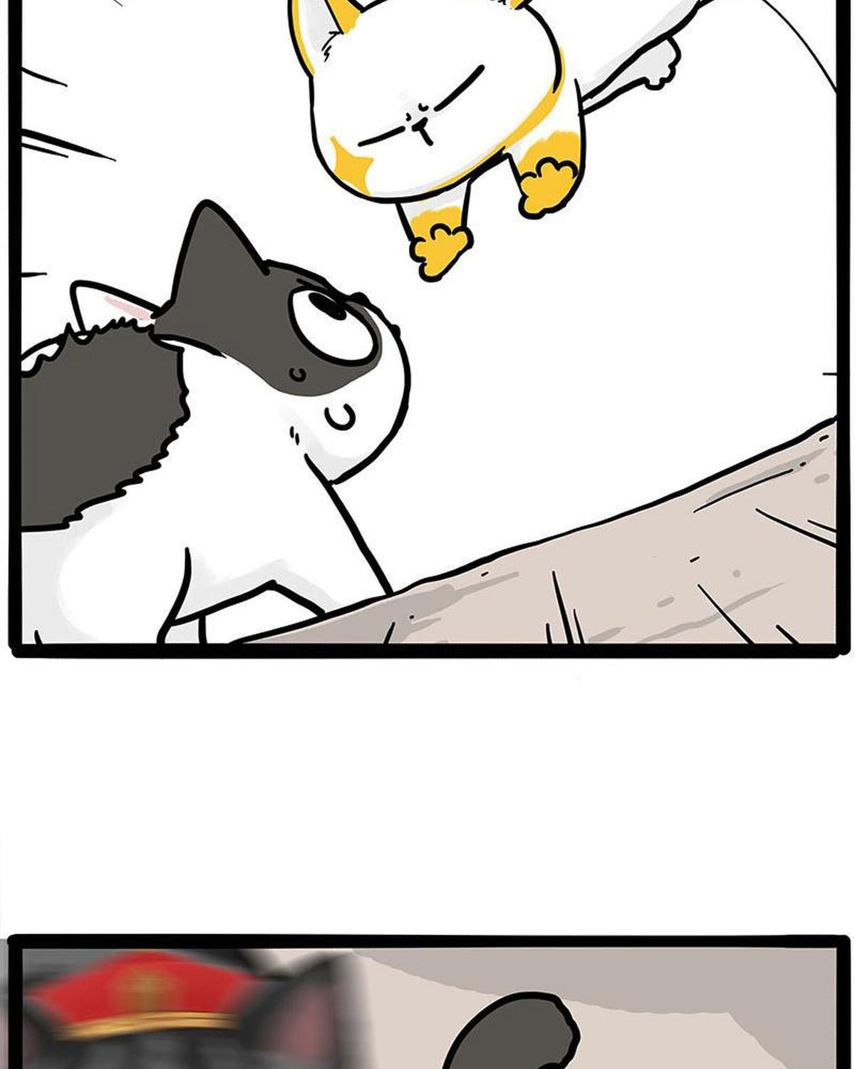 Hoàng Thượng Và Ba Trát Hắc Chapter 446 - Trang 2