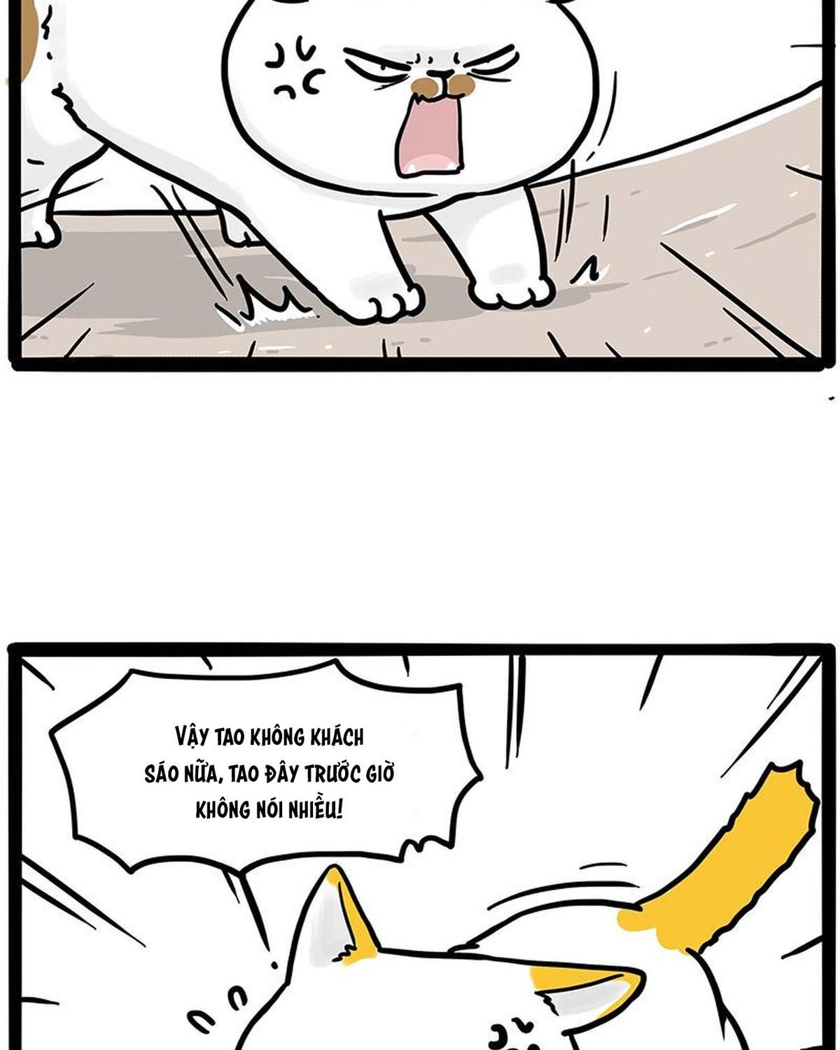 Hoàng Thượng Và Ba Trát Hắc Chapter 446 - Trang 2